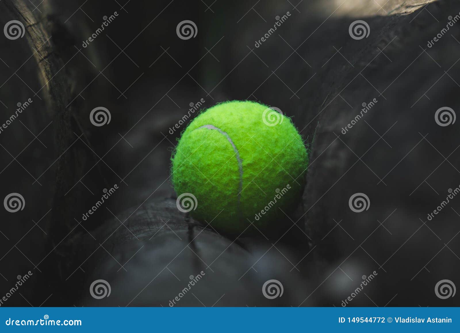 Une Balle De Tennis Verte Est Couchée Sur Un Arbre Photo stock
