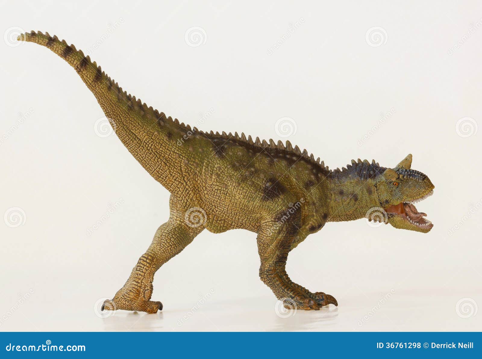 Une Chair Mangeant Le Dinosaure De Carnotaurus, Taureau Carnivore Photo