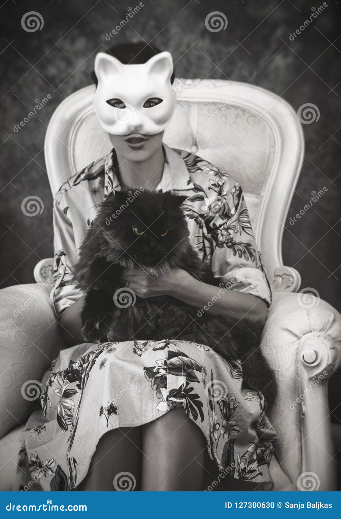 Une Femme Avec Un Masque De Chat Photo Stock Image Du Noir Closeup Une Femme Avec Un Masque De Chat Photo Stock Image Du Noir Closeup