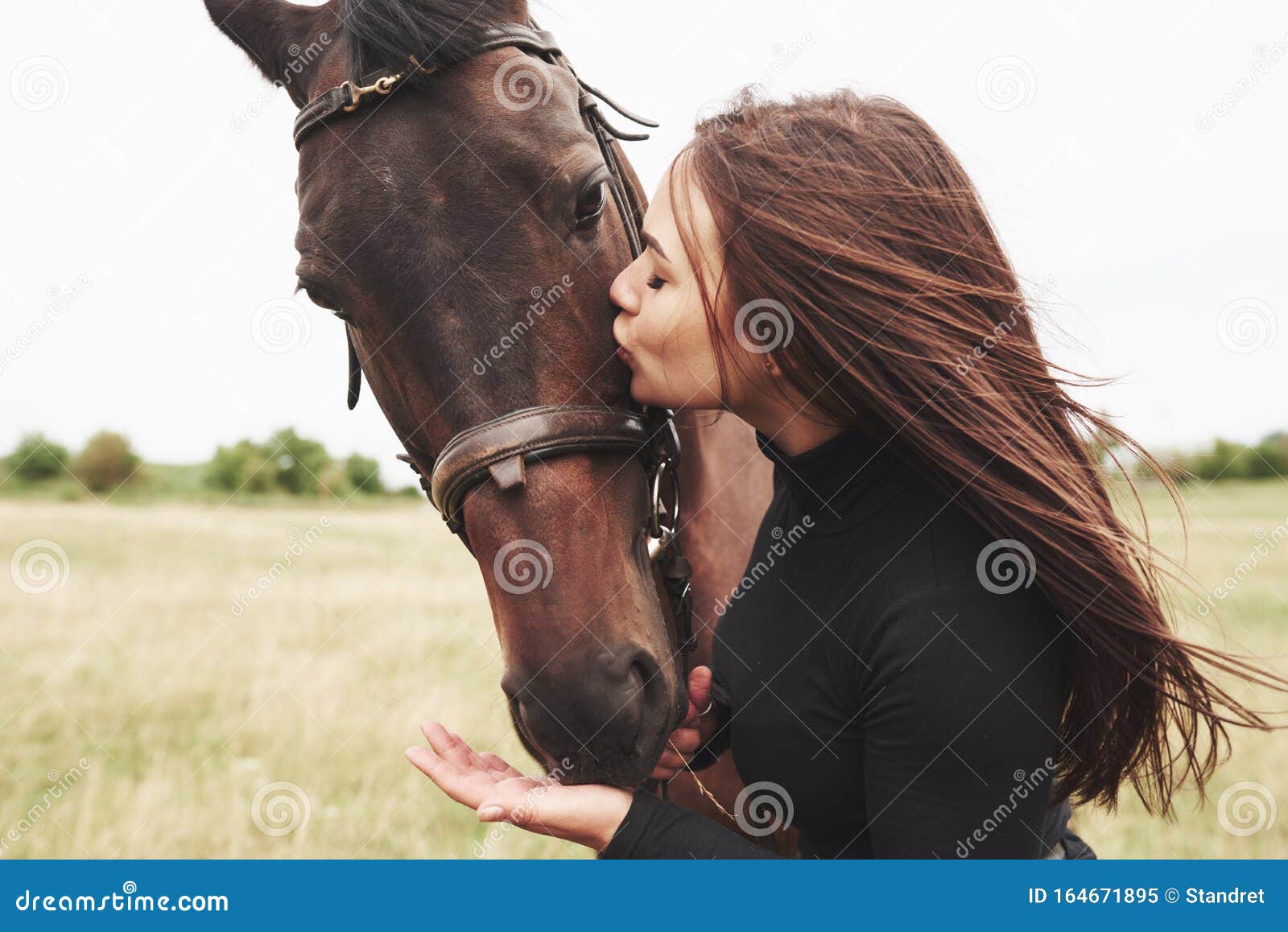 une fille heureuse communique avec son cheval préféré. la fille