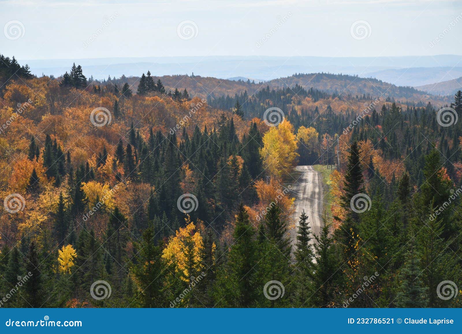 Une forêt mixte en automne image stock. Image du chemin - 232786521