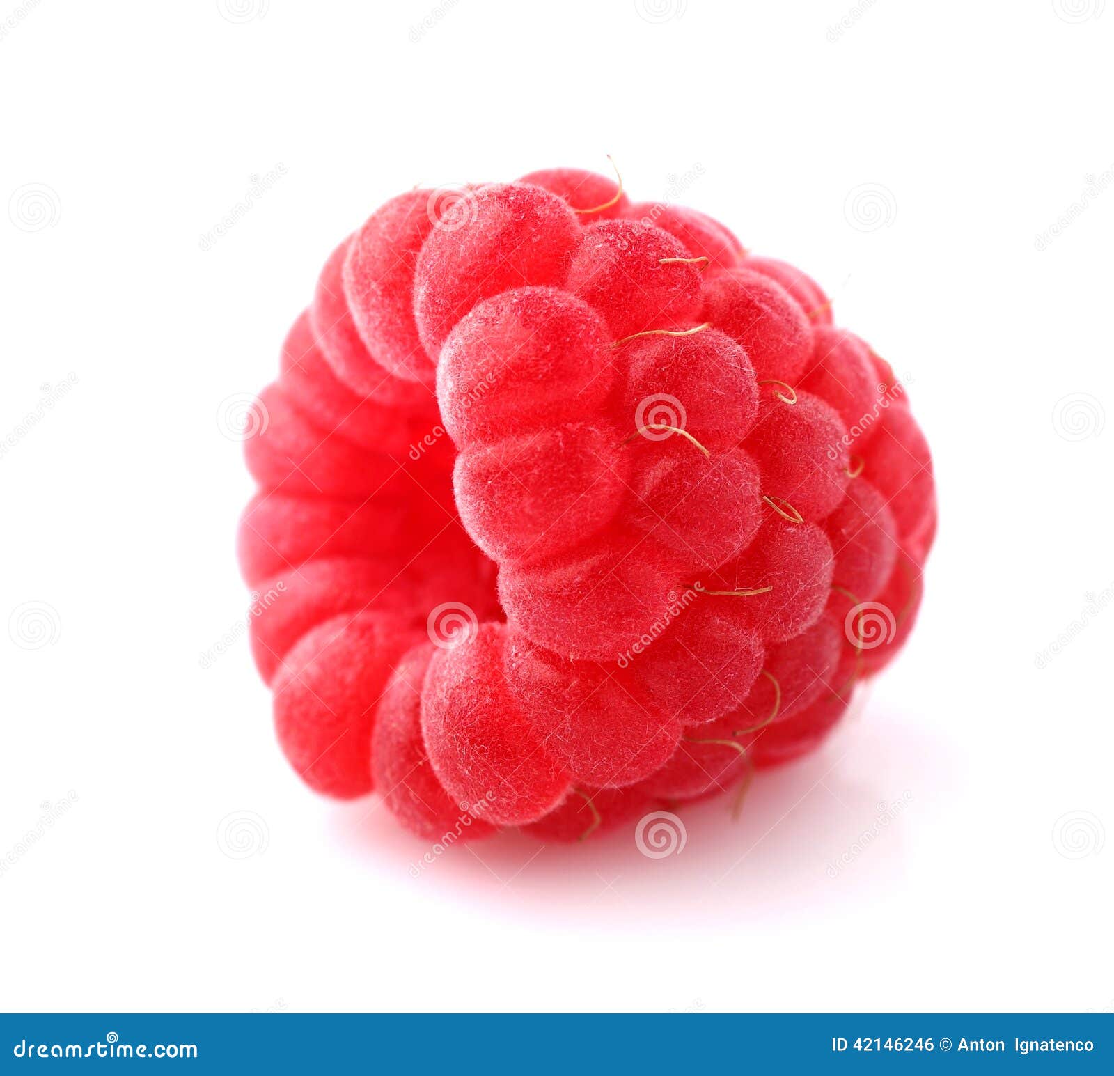 photo stock une framboise image