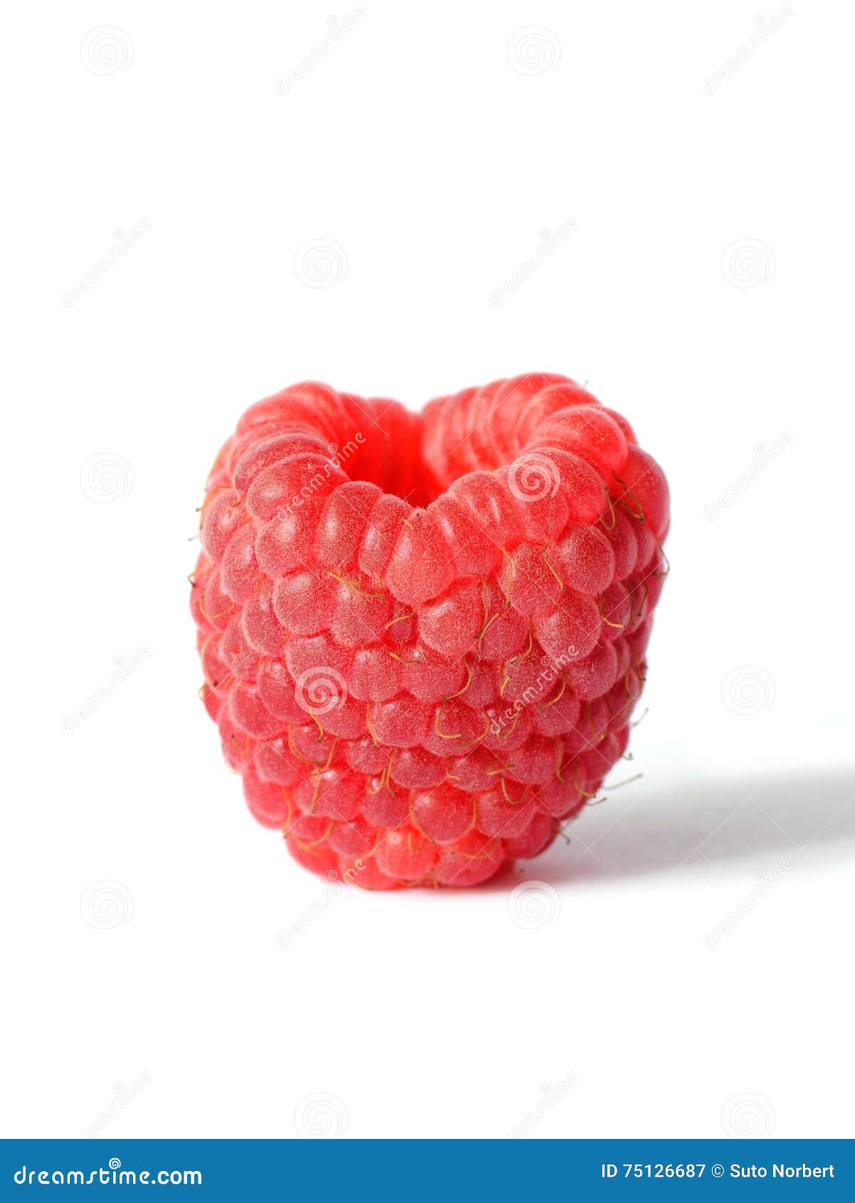 Une framboise fraîche image stock. Image du configuration 75126687