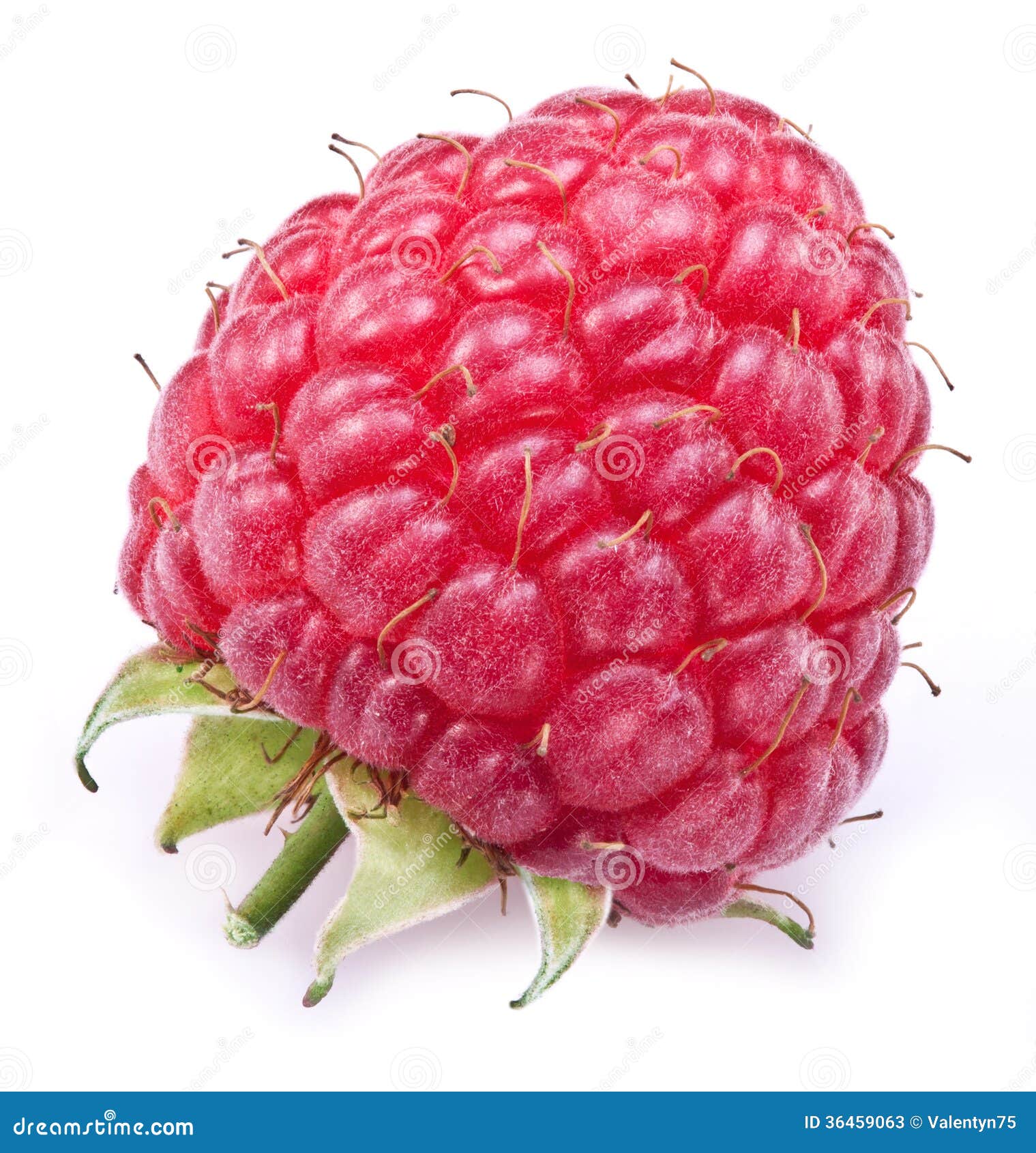 Une framboise riche. image stock. Image du baie, organique 36459063
