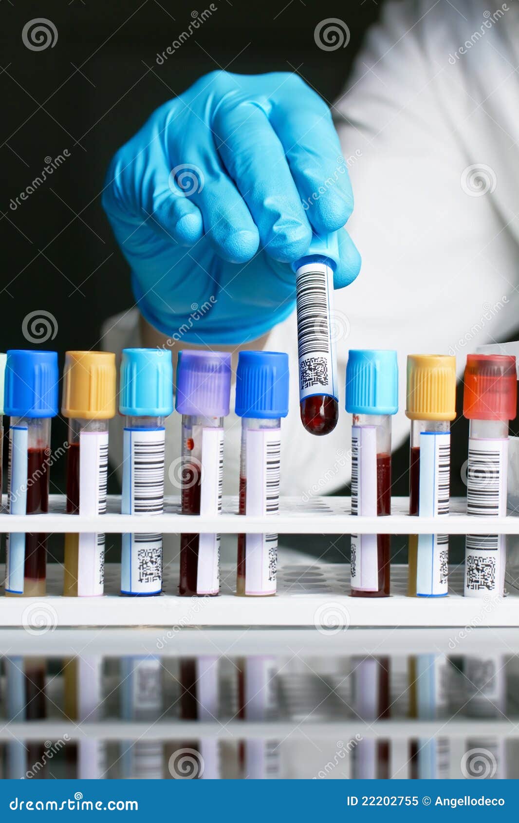 Une main dessinant un essai de tube. Un technicien de laboratoire retirant une armoire de tube avec une prise de sang étiquetée avec le code à barres sur un fond noir