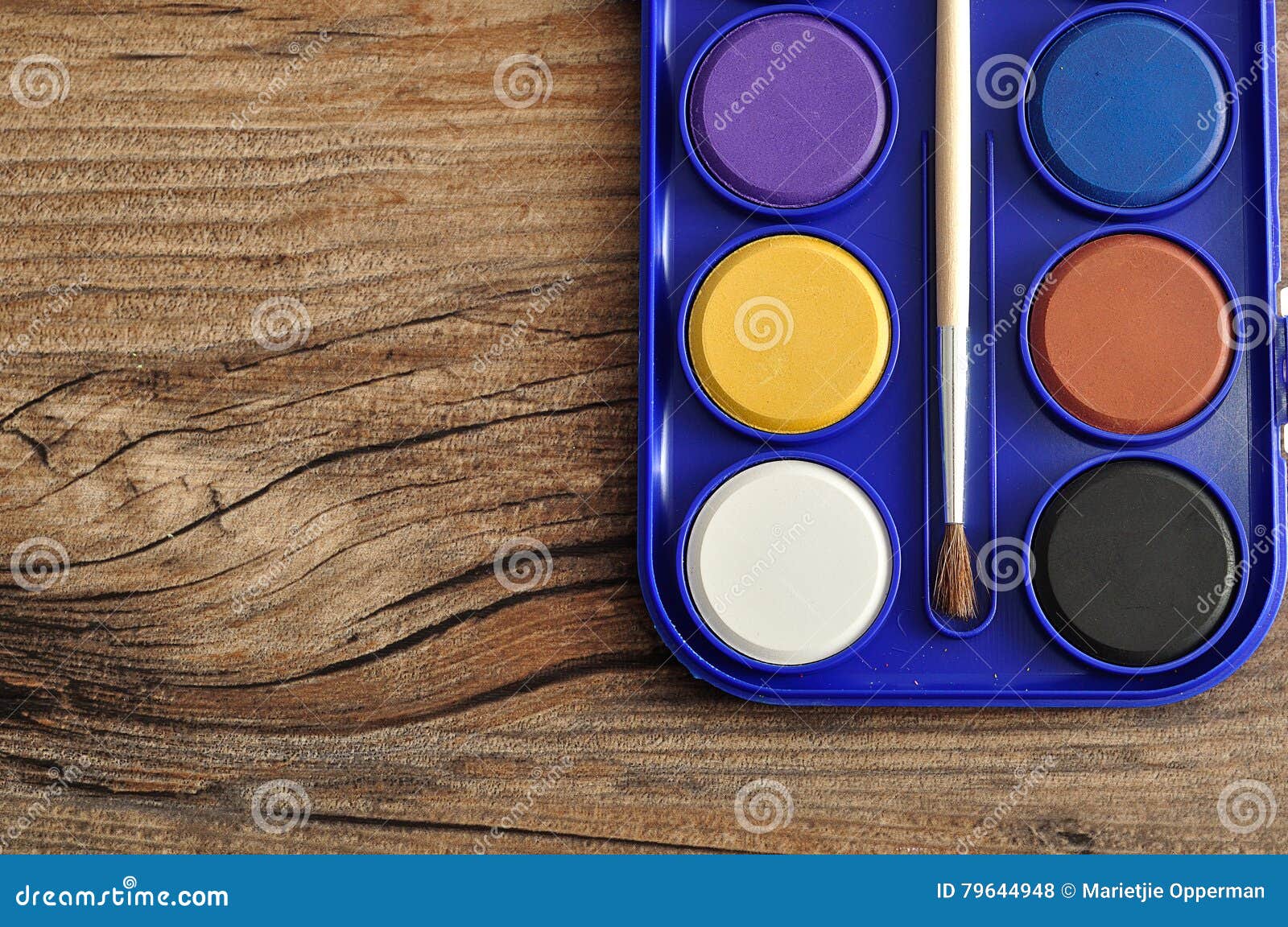 Palette de 12 Peinture à l'Eau avec un Pinceau - Aquarelle Loisir C...