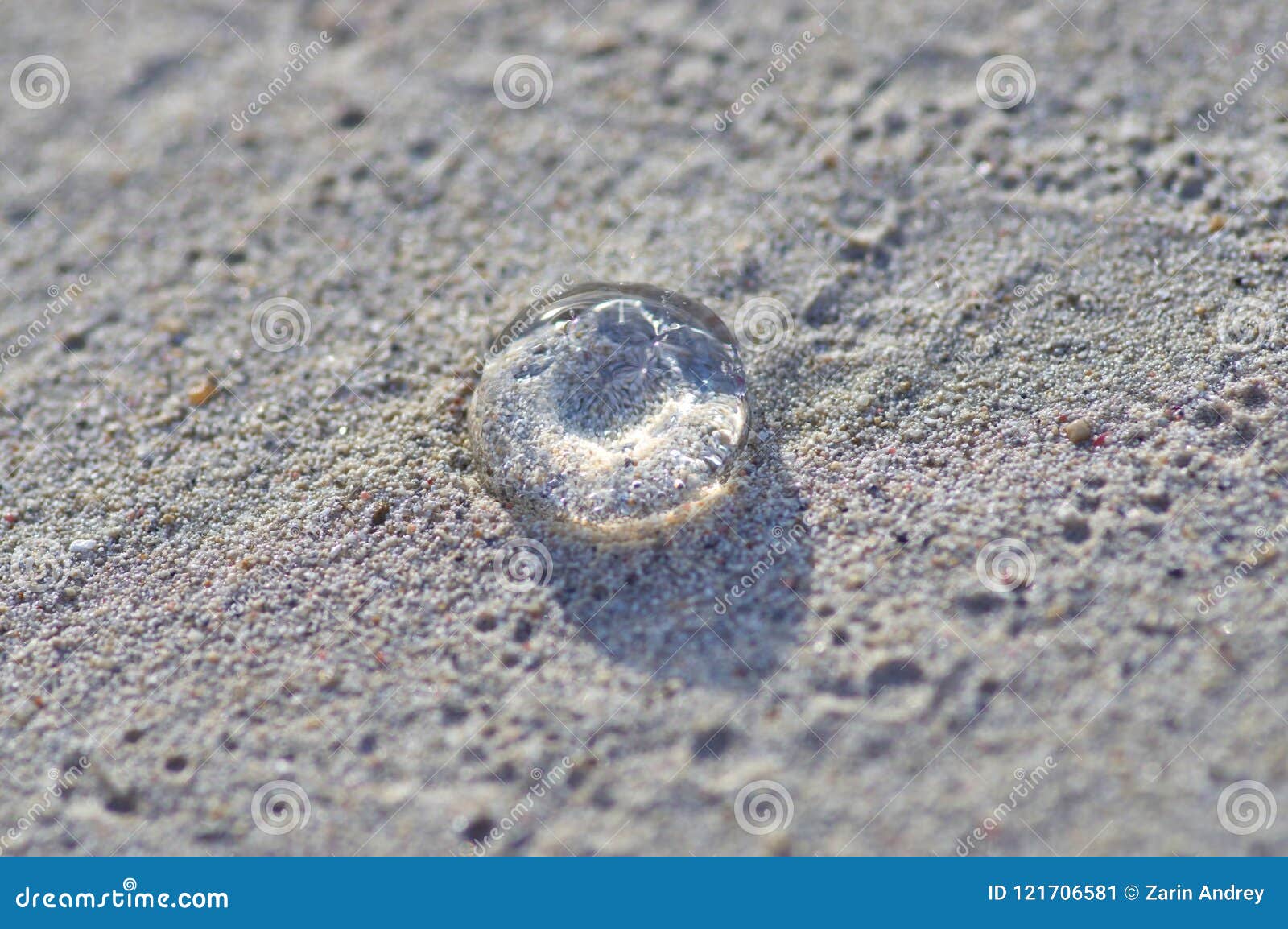 Une Petite Meduse Transparente Sur Le Sable Est Illuminee Par Image Stock Image Du Animal Aquatique Une Petite Meduse Transparente Sur Le Sable Est Illuminee Par Image Stock Image Du Animal Aquatique