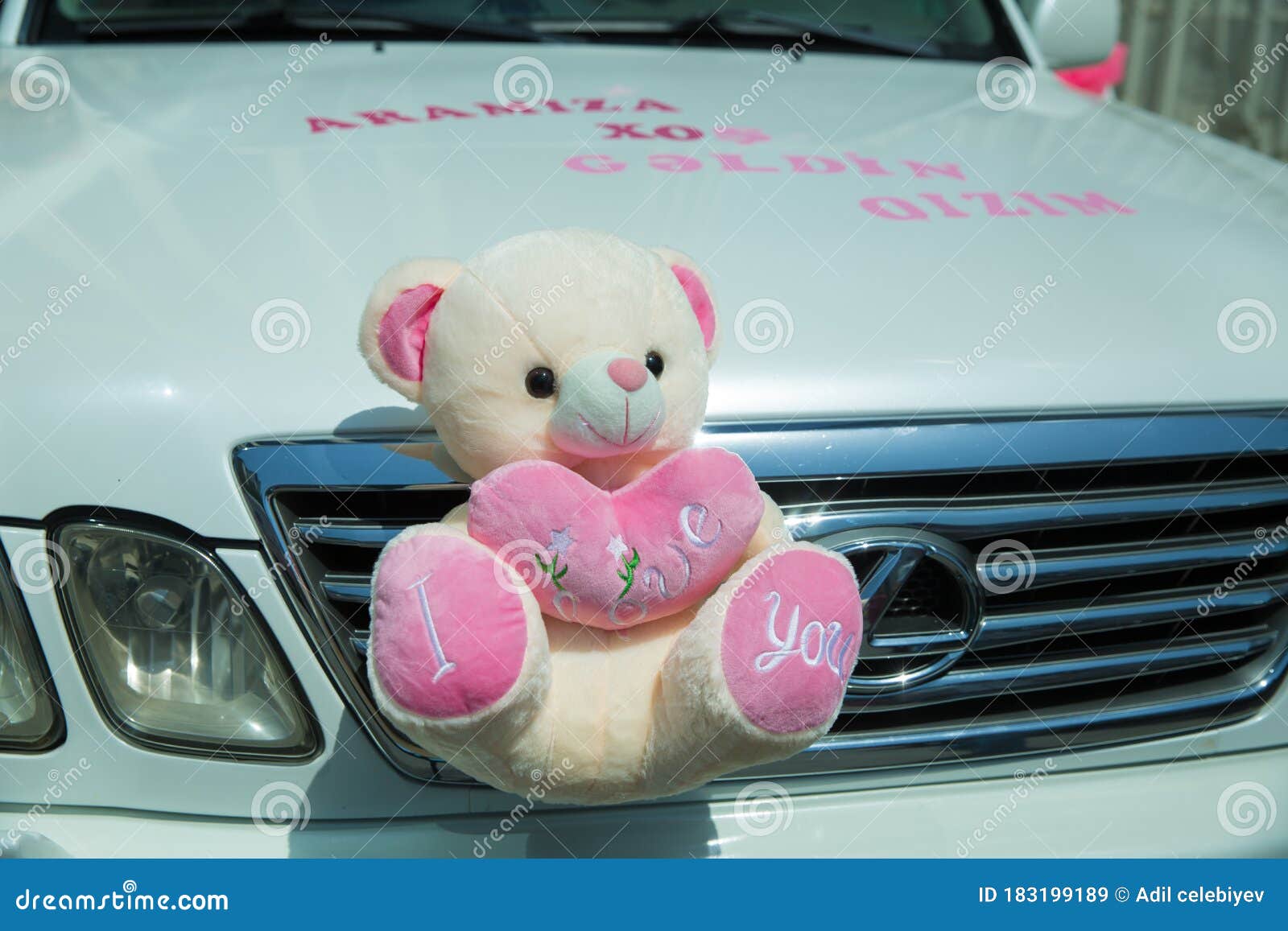 Une Poupée D'ours Placée Devant Une Voiture Pour Les Jouets D'ours