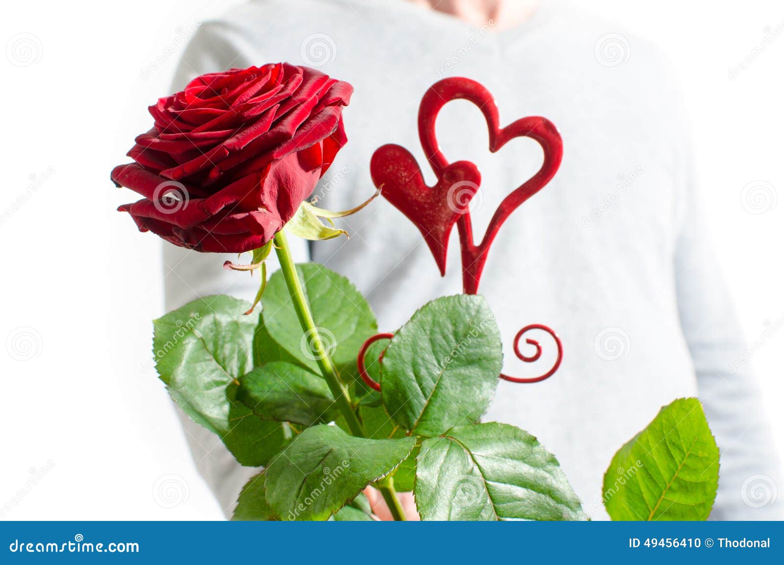 Une Rose Pour La Saint-Valentin Photo stock - Image du valentin, coeur:  49456410