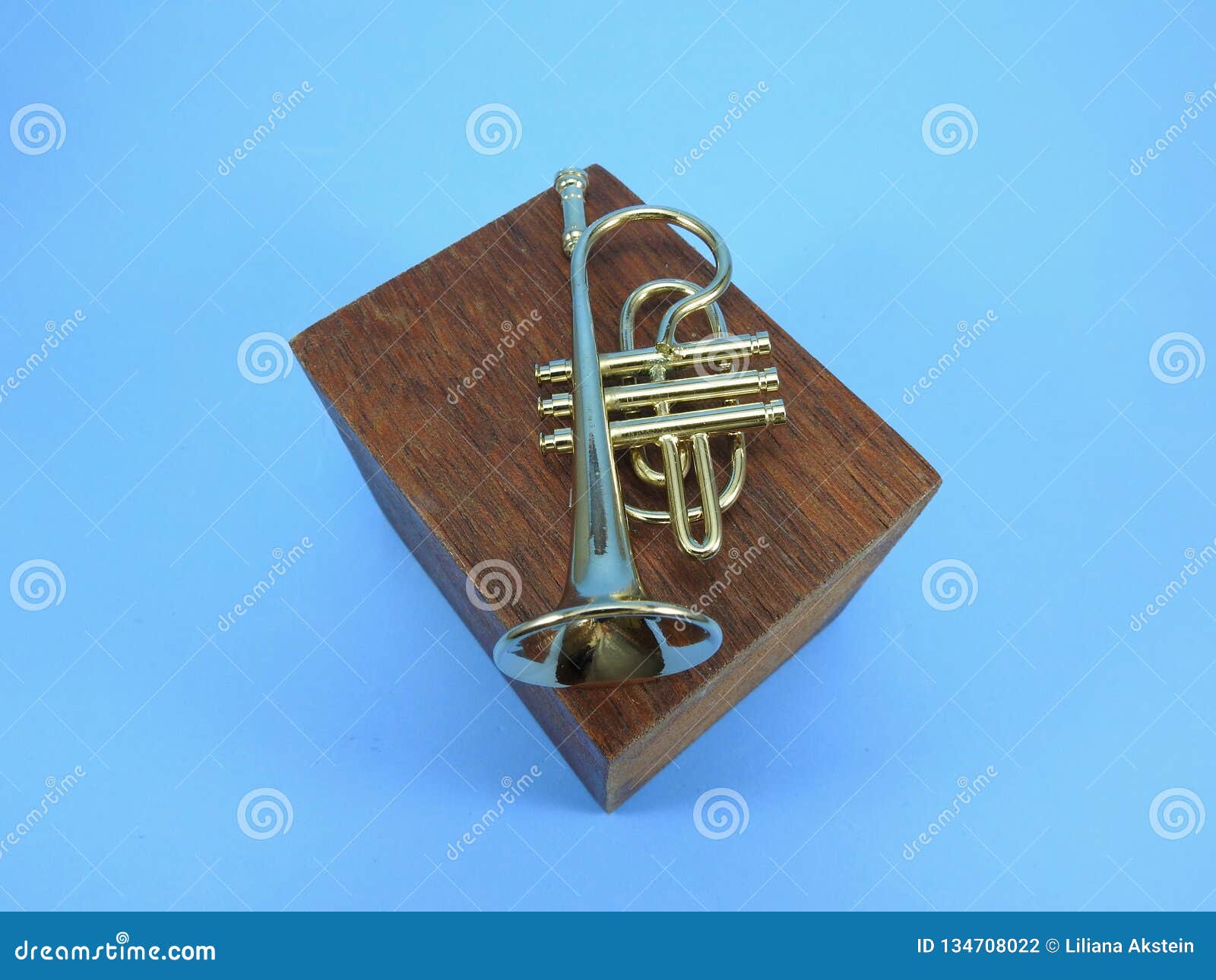 Une Trompette Miniature Sur Un Bloc En Bois Vu D'en Haut Photo