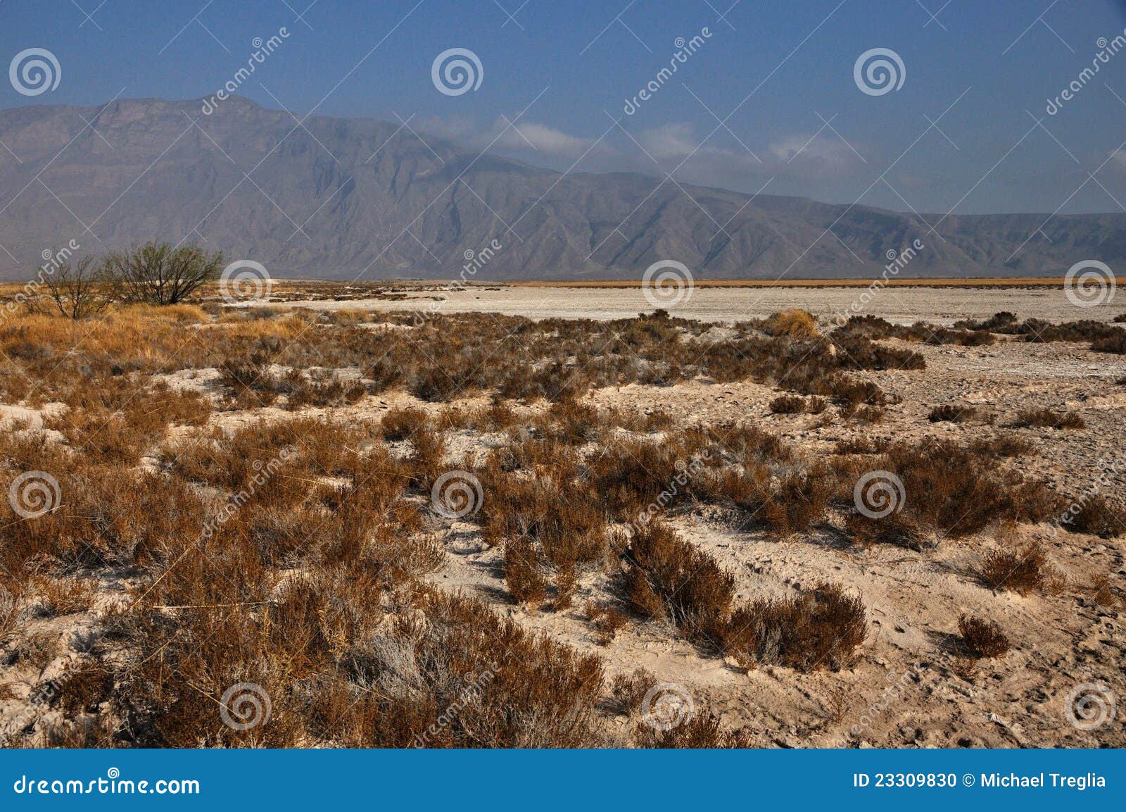 Une vallée de désert au Mexique. L'horizontal de désert de Chihuahuan dans Coahuila, MX