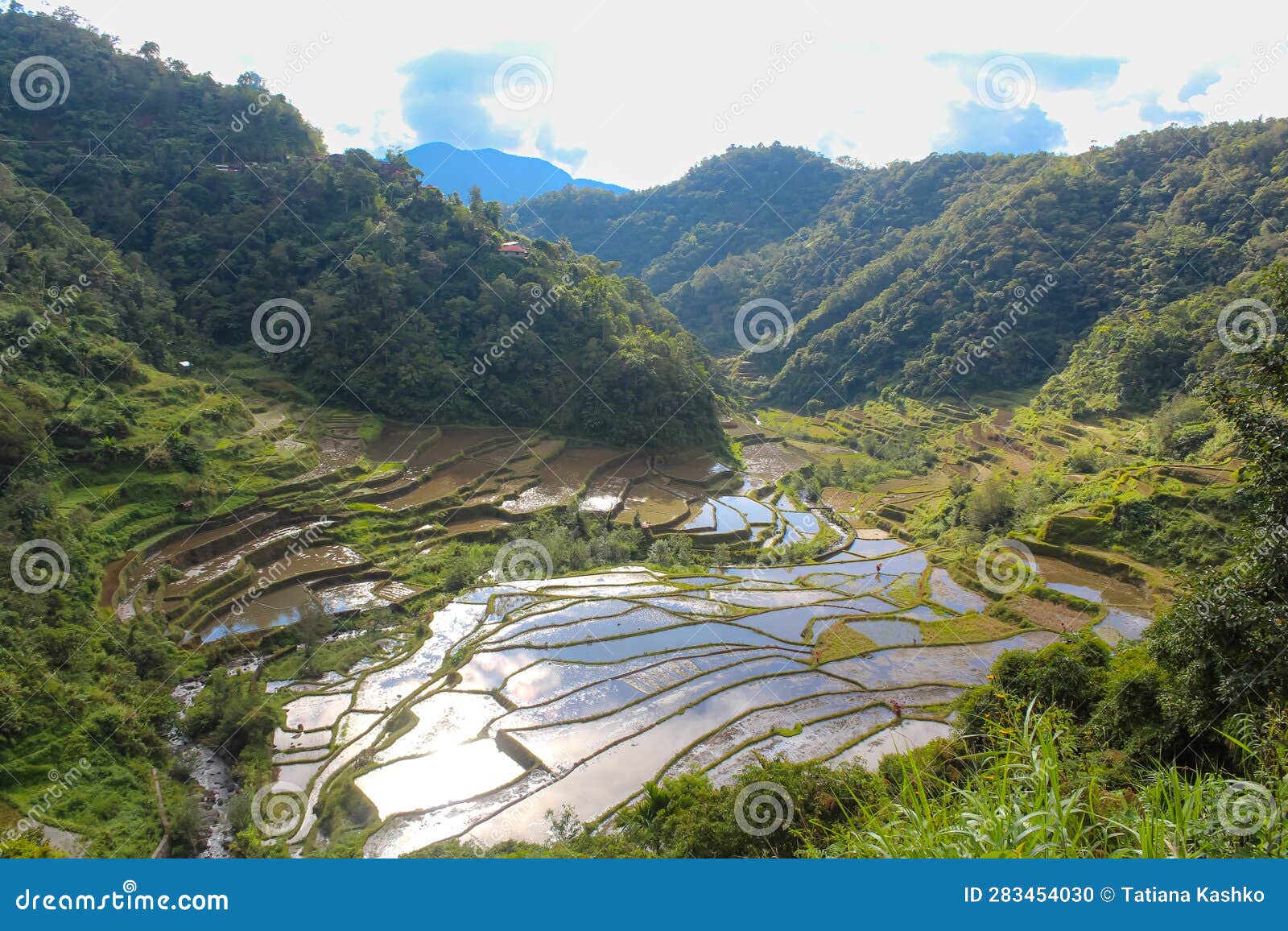 unesco batad rice terraces of the philippine cordilleras