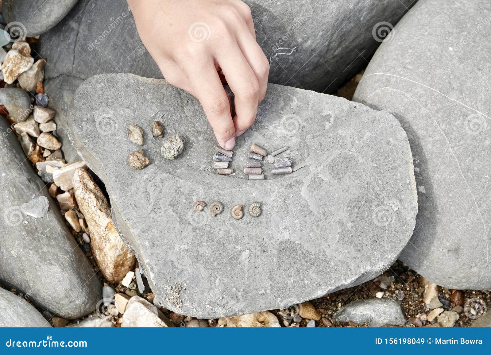 fossil hunting at charmouth beach dorset england.
