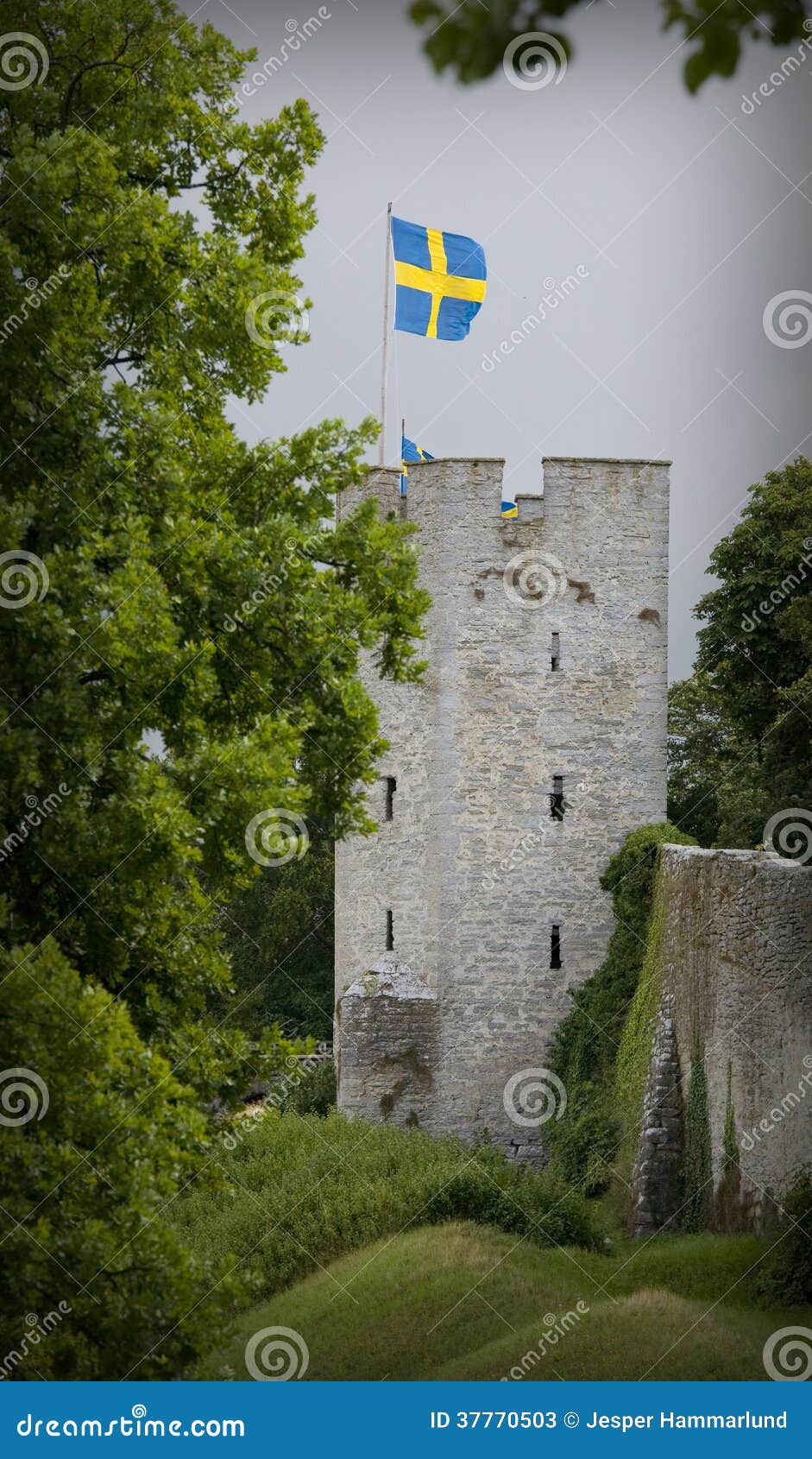 the unesco world heritage site visby in sweden.gn
