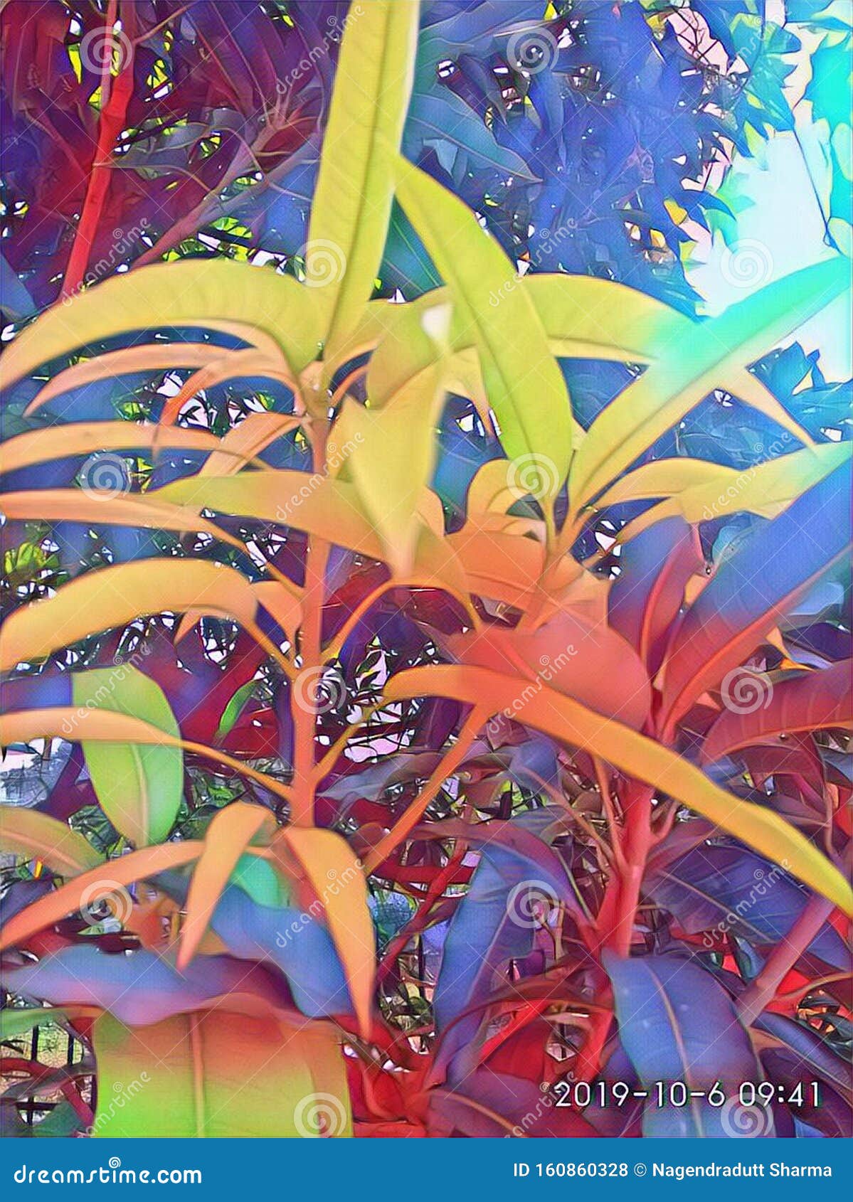 an unexcelled pleasant  of geometric pattern of colorful plants