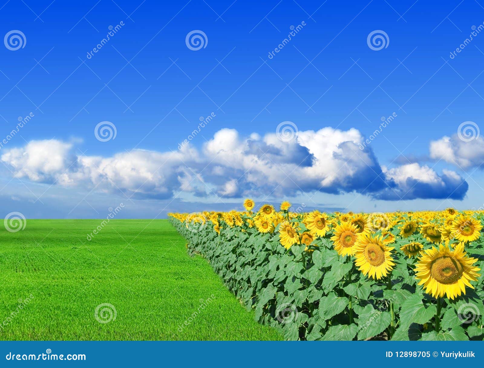 Hill stock image. Image of field, blue, freshness, cloudscape - 13264359