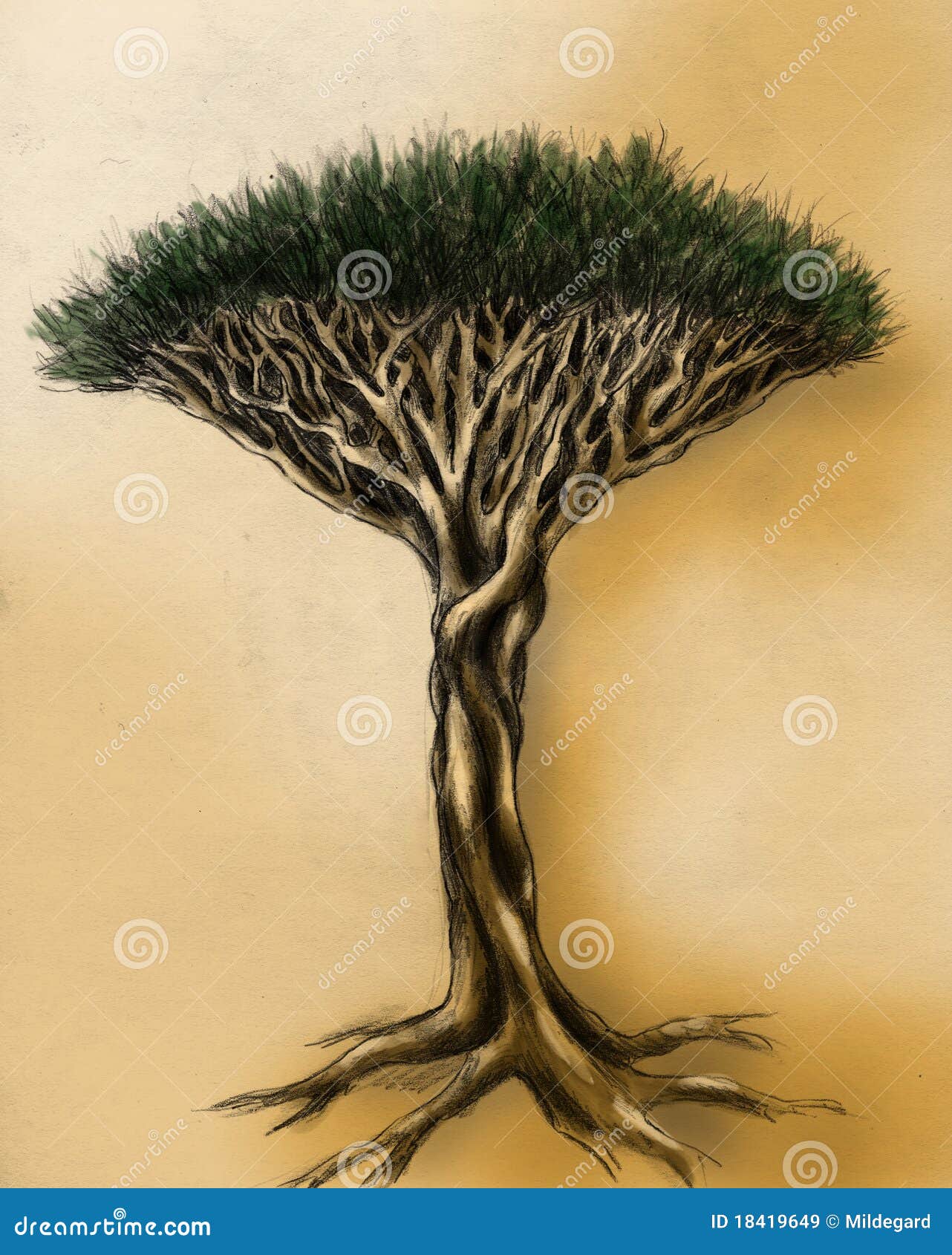 Baum Bleistiftzeichnung Stock Illustrationen Vektoren Kliparts 138 Stock Illustrationen