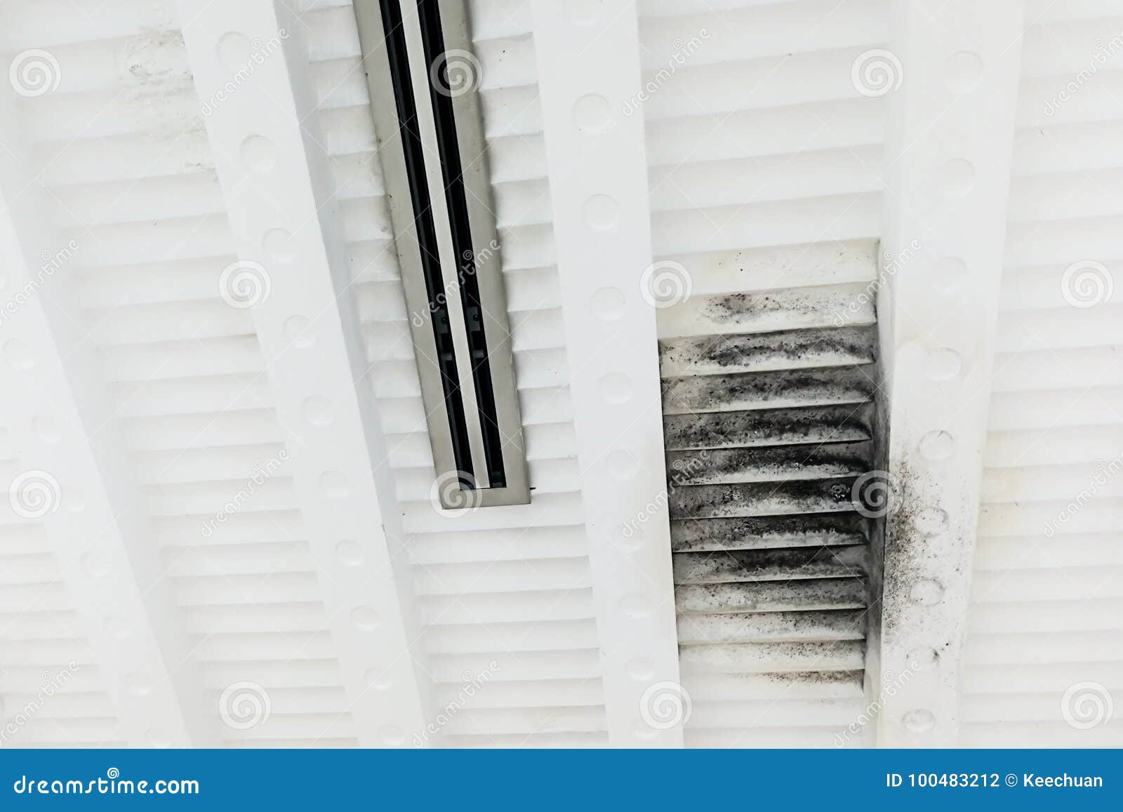Unhygienic And Ugly Moldy Plaster Ceiling Due To Leakage