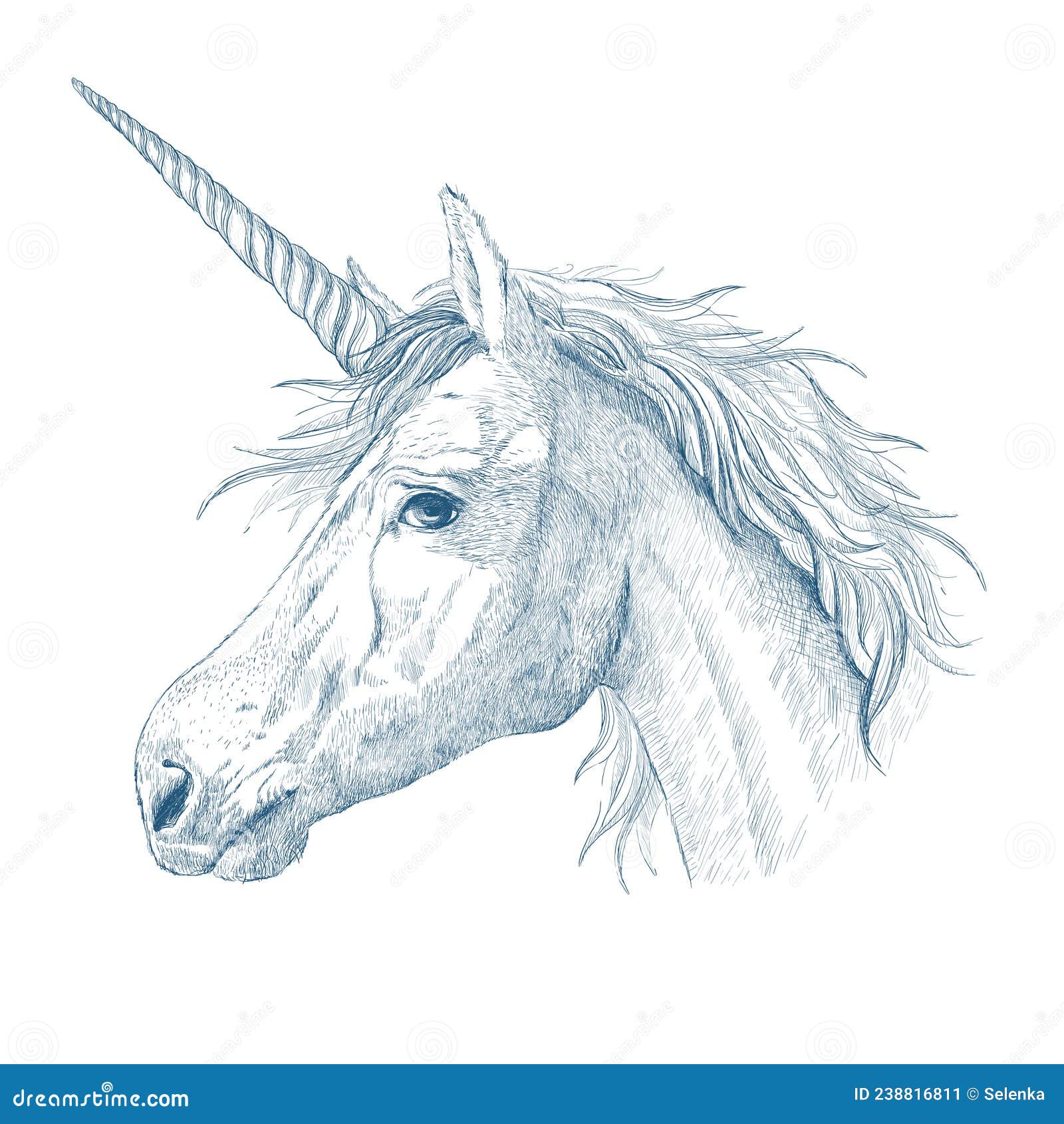 unicorn head profile hand drawn sketch style portrait