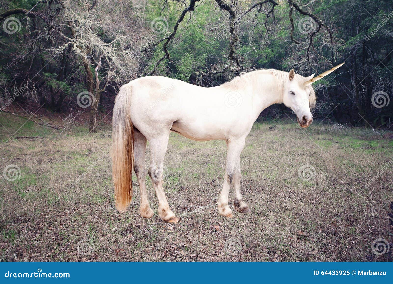 Realistic Unicorn Stock Photos - Free & Royalty-Free Stock Photos from  Dreamstime