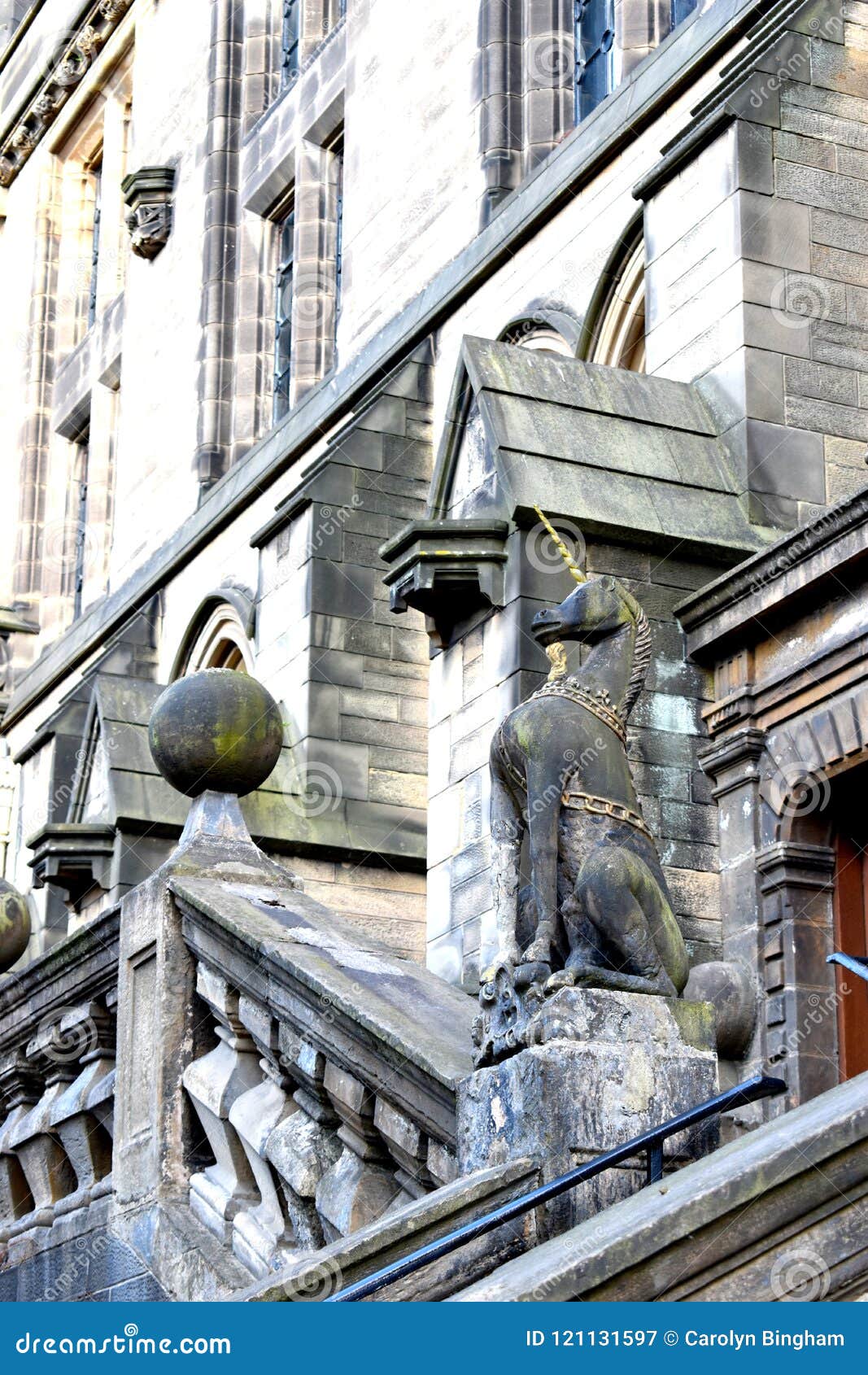Unicornio en Escocia imagen de archivo. Imagen de animal - 121131597 Unicornio en Escocia imagen de archivo. Imagen de animal - 121131597