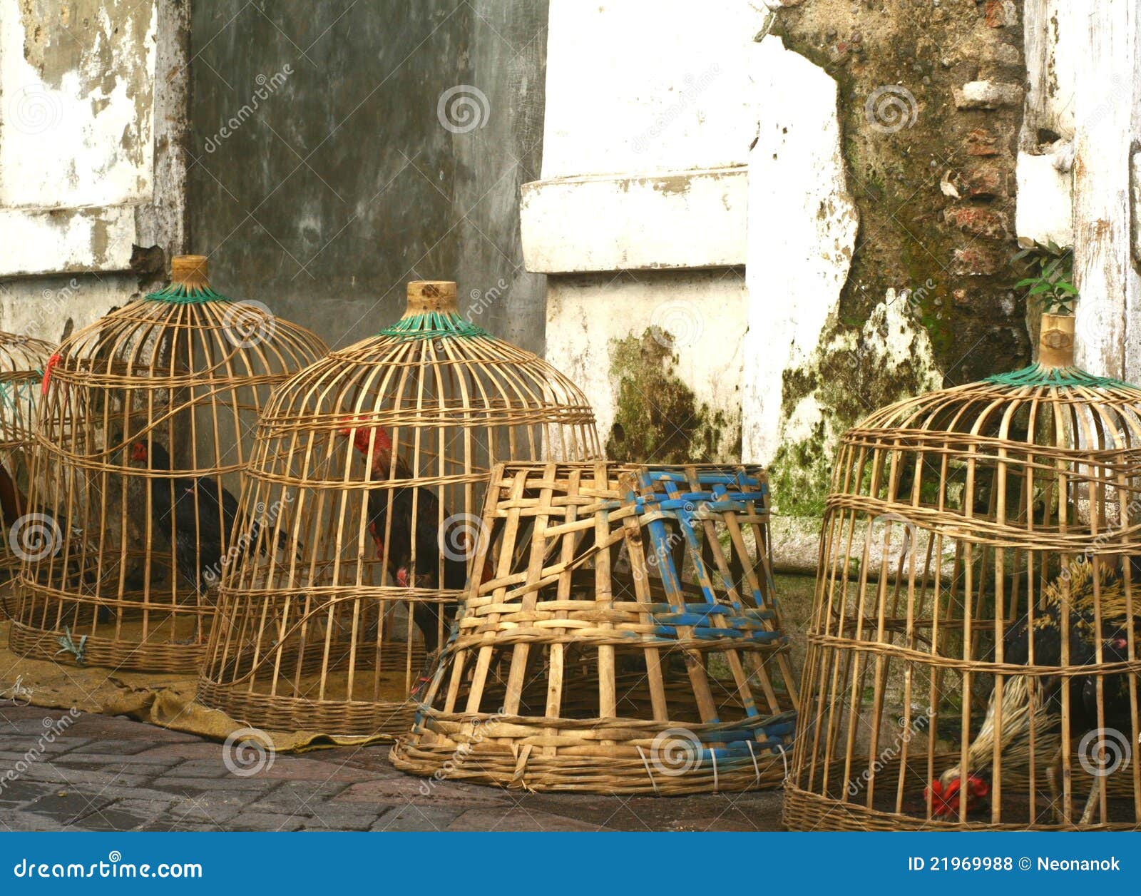 Chicken Cage Made Of Woven Bamboo, Has A Unique Texture RoyaltyFree