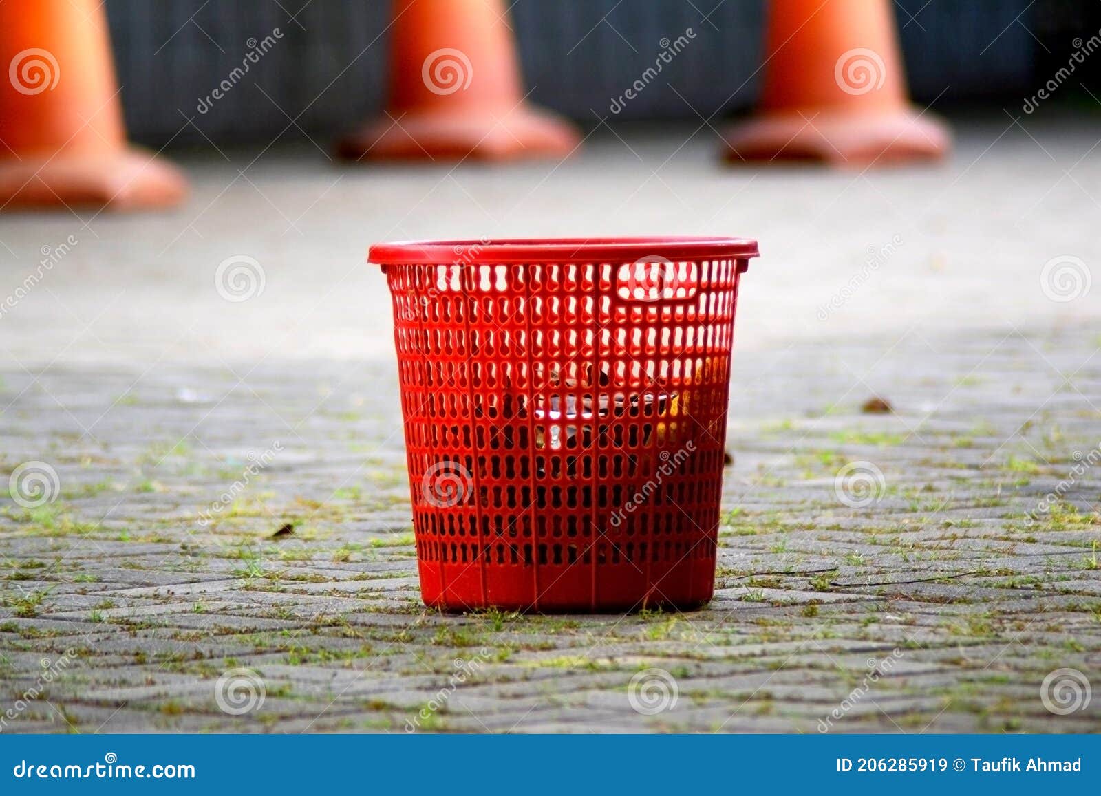 Unique Red Plastic Trash Can Stock Image Image of plant, light 206285919