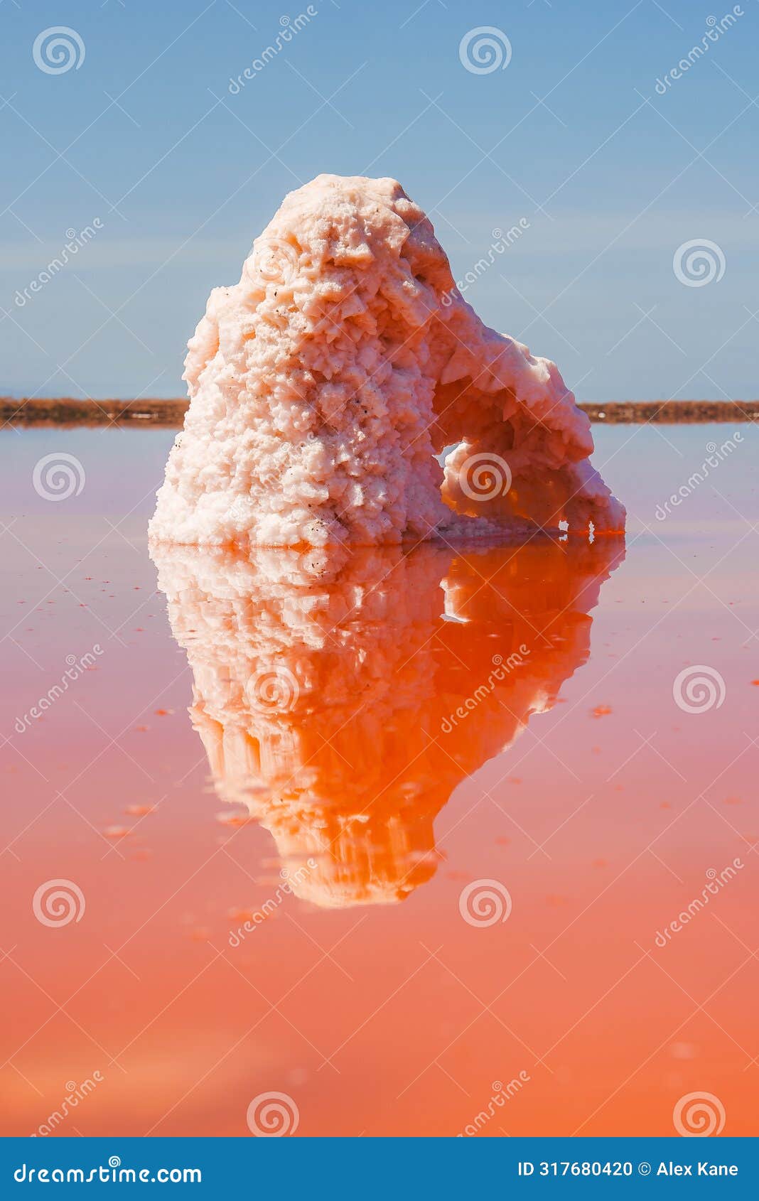unique salt formation at alviso pink lake park, california