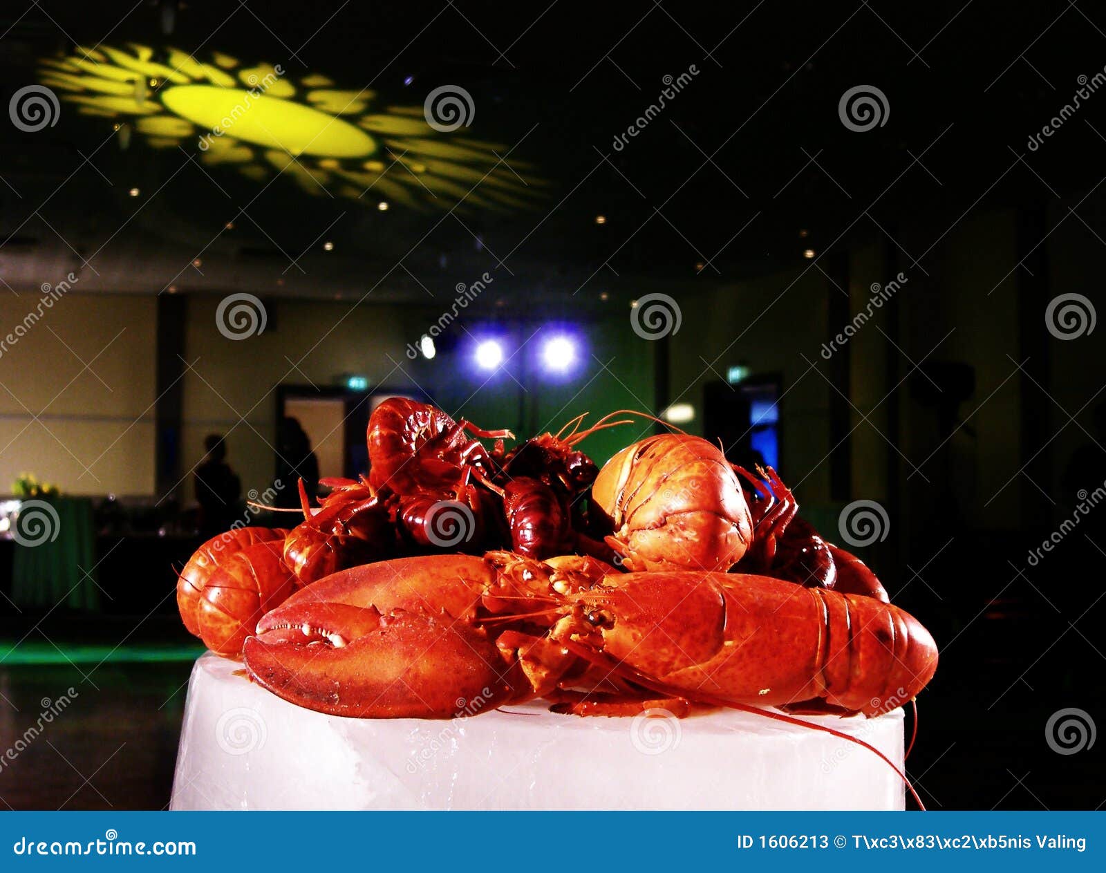 Unique and Special Dinner Event Stock Image - Image of dining, dinner