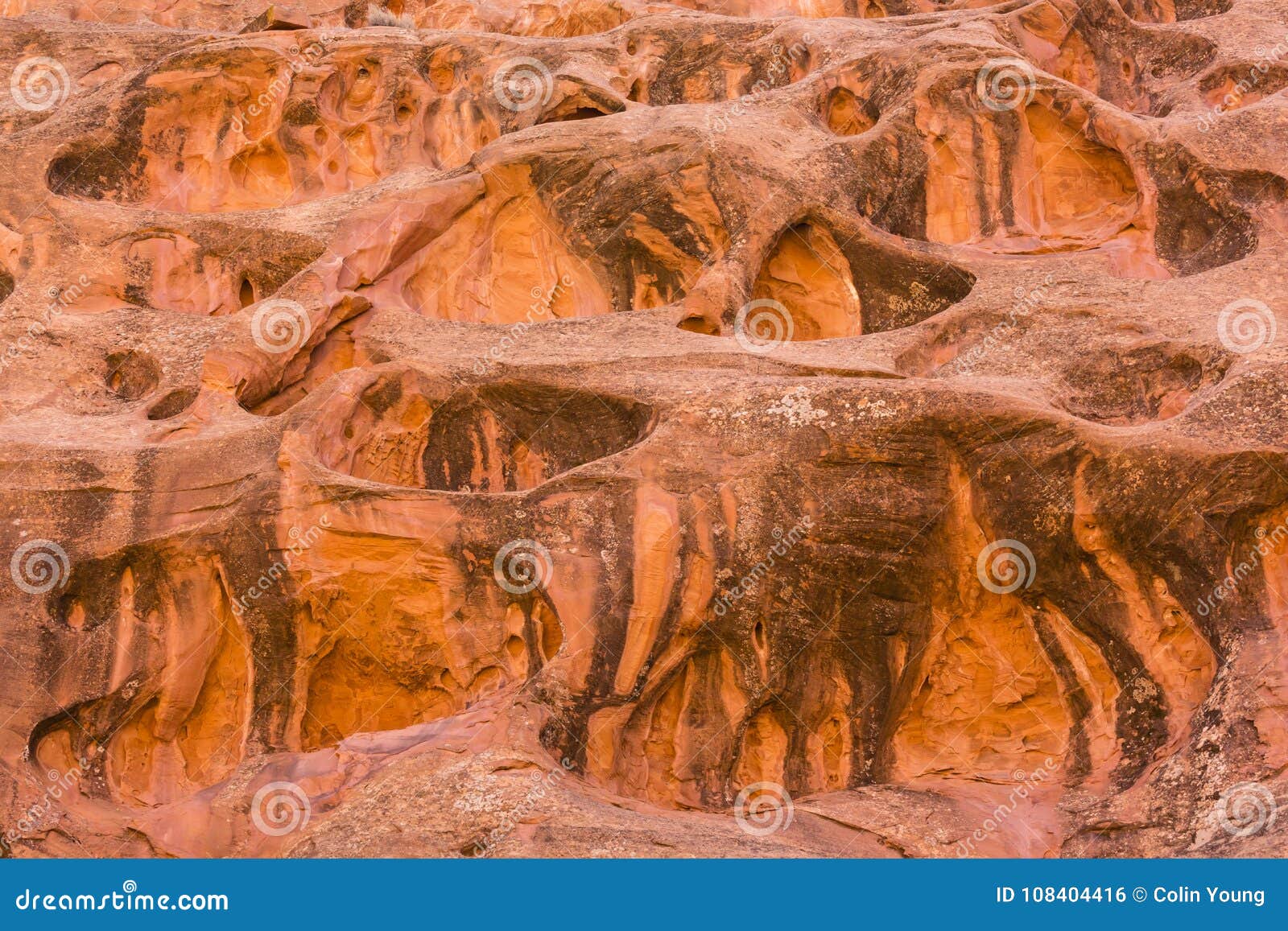 Long Canyon Red Rock Swiss Cheese Stock Photo - Image of geology