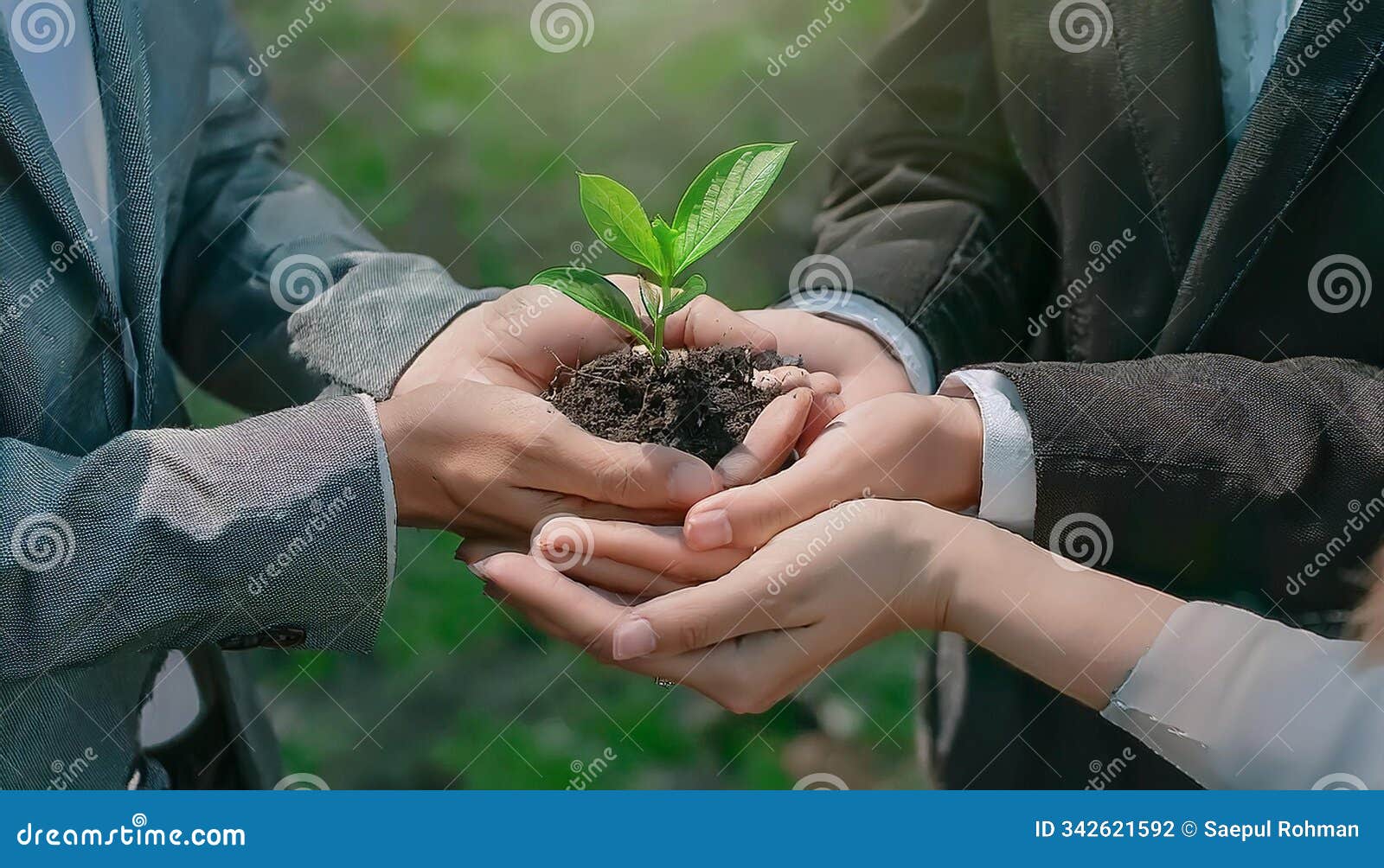 unity of business people and community together protecting small sprout with hand