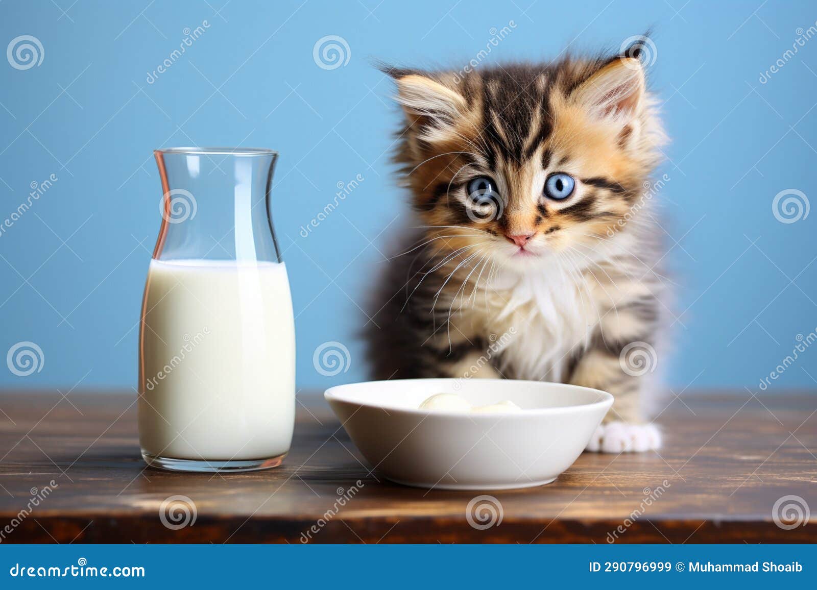 the universal solution an endearing tabby kitten laps up milk in a studio