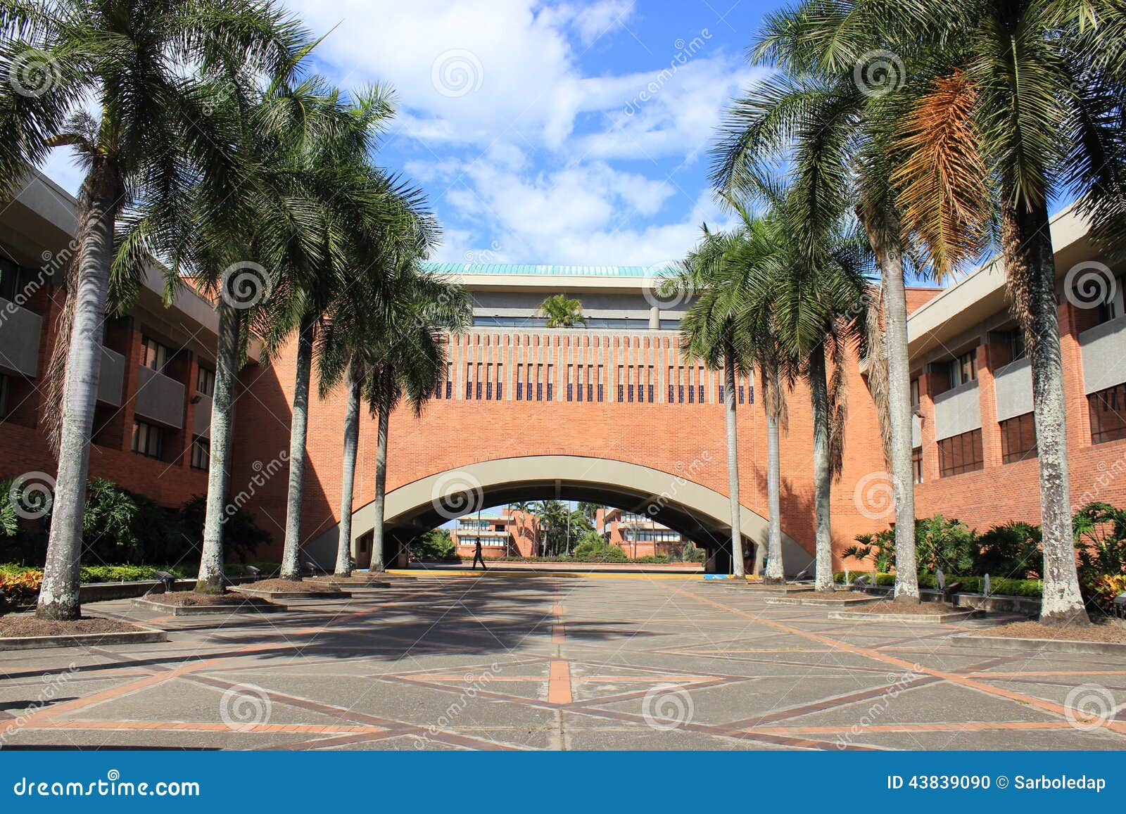 universidad autÃÂ³noma de occidente