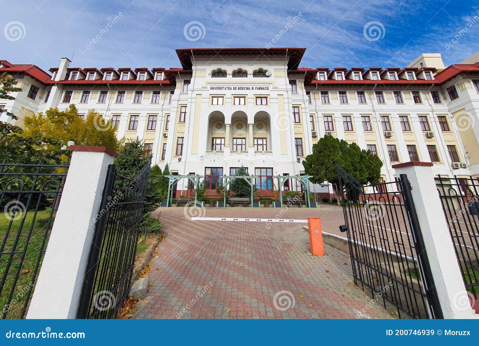 the university of medicine and pharmacy in craiova