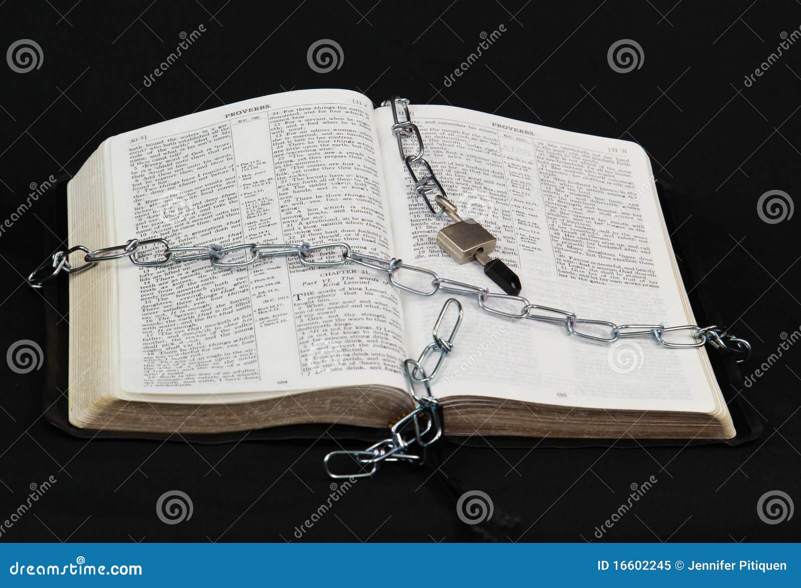 Unleashed stock image. Image of holy, preaching, religious 16602245