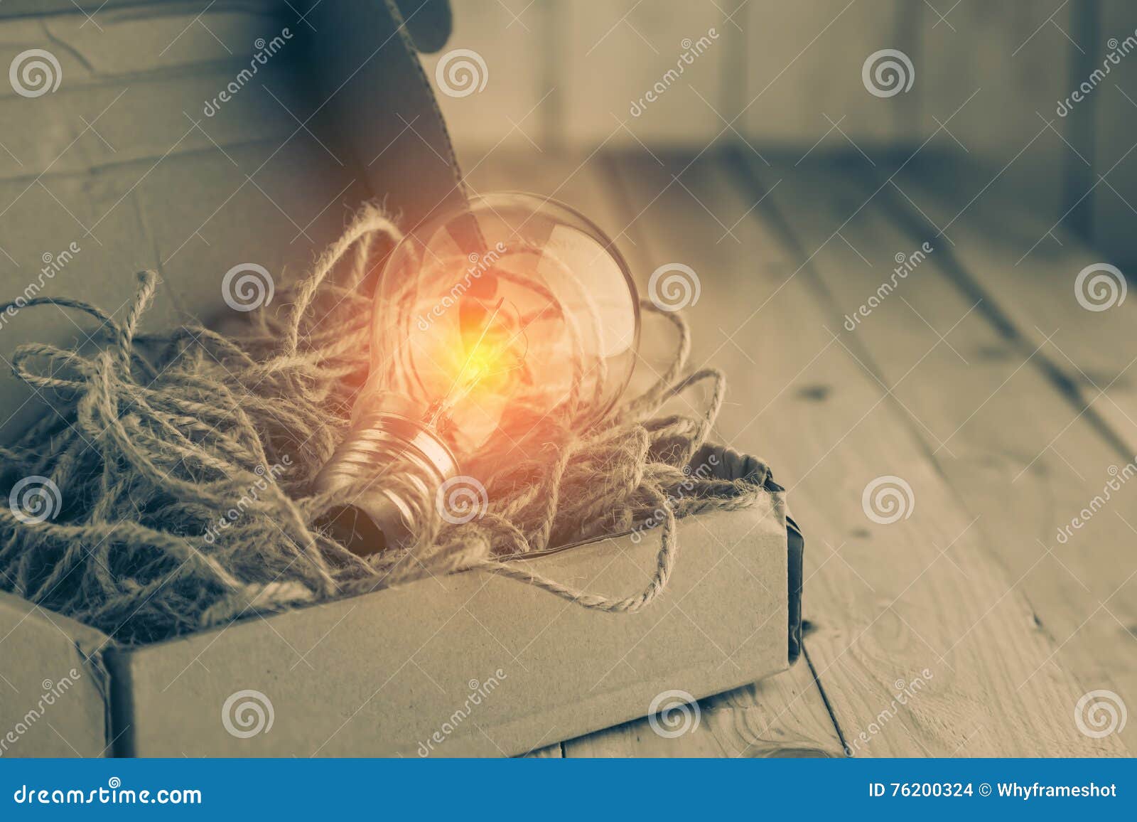 download electrophoresis in stabilizing media