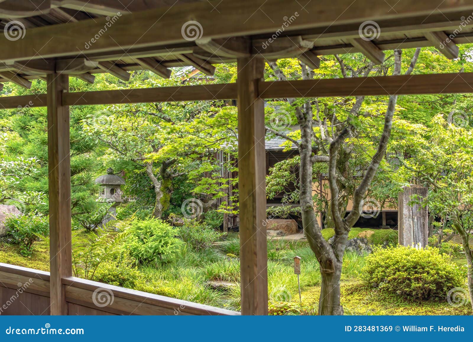 uno de los jardÃ­n interno de templo tenryuji en kyoto, durante un dÃ­a de verano