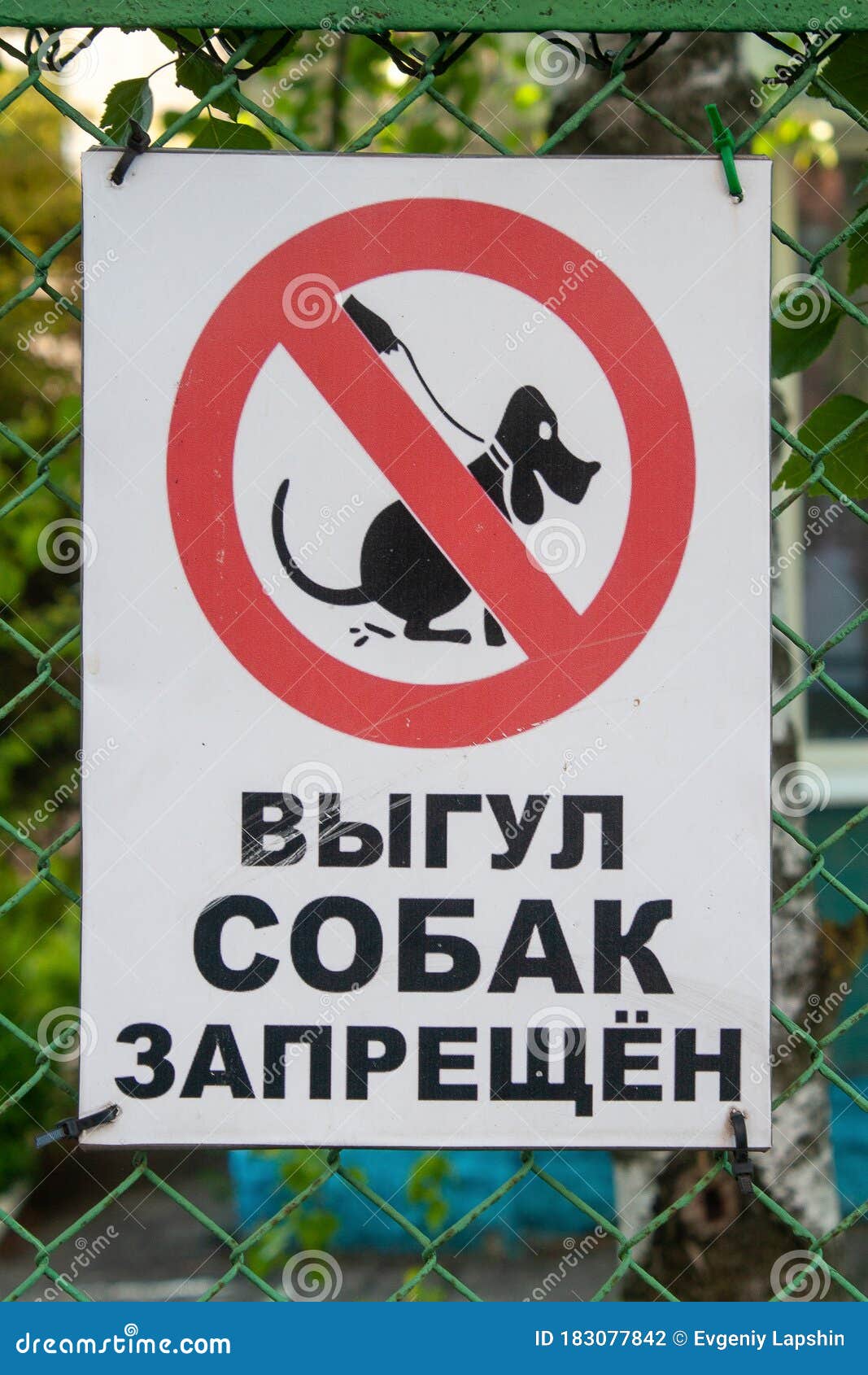 unofficial sign prohibiting dog walking.