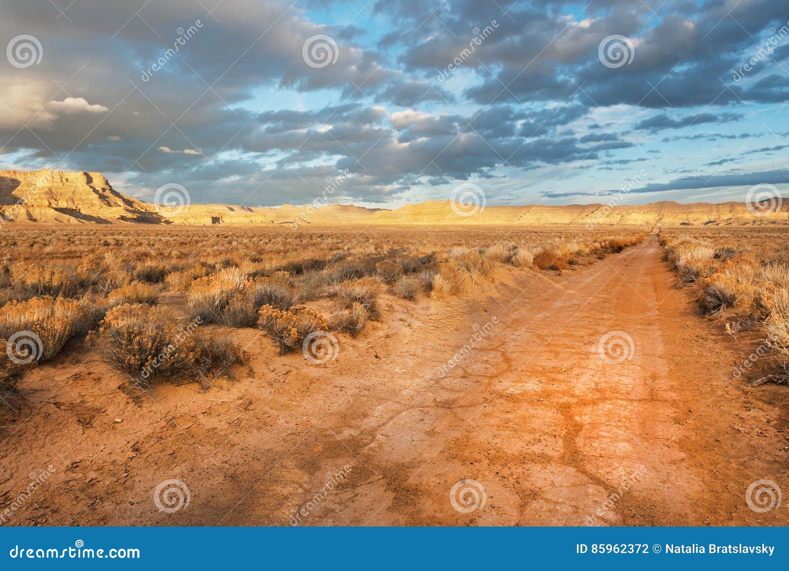 unpaved desert road