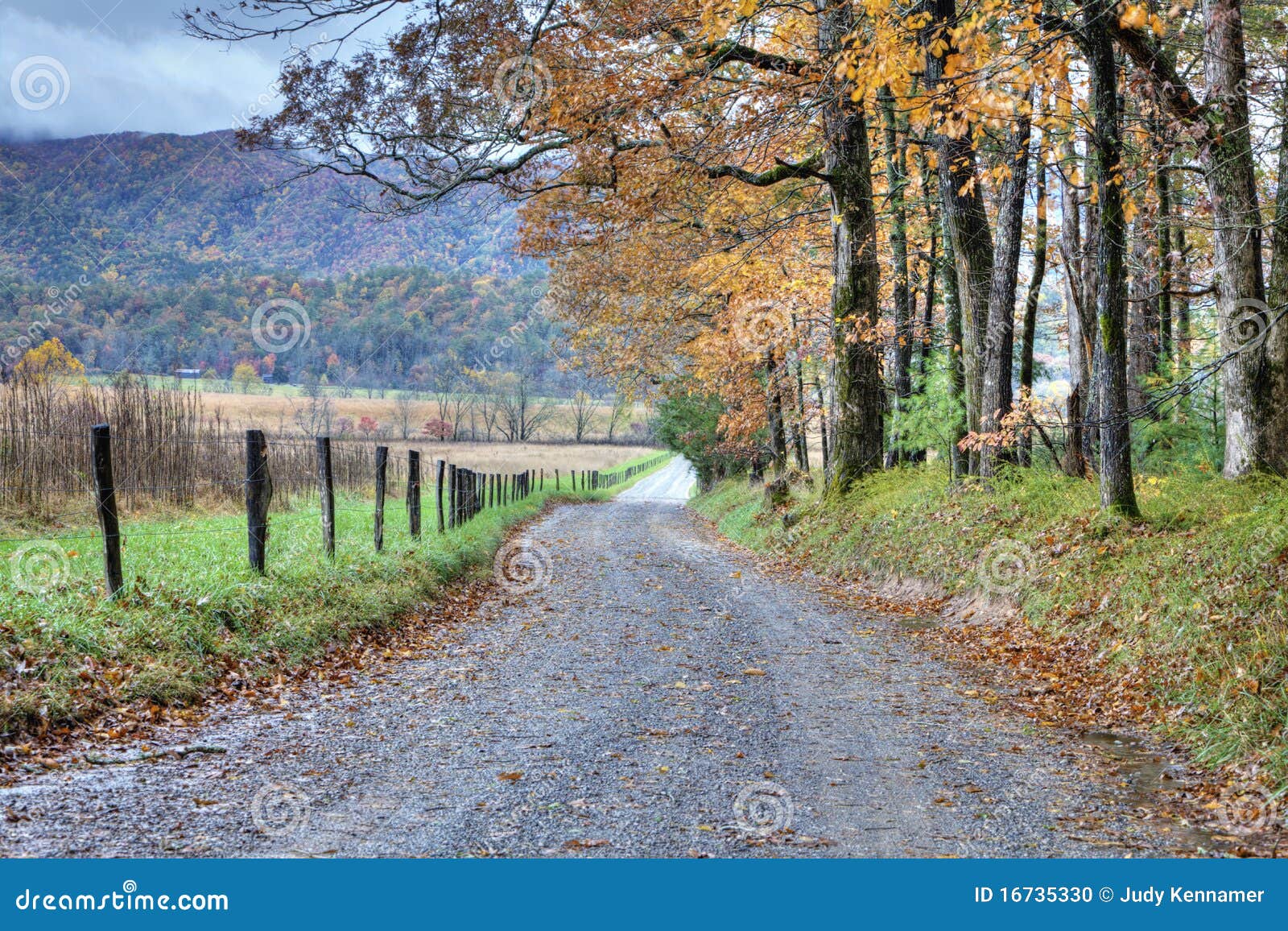 unpaved fall road with colorful trees