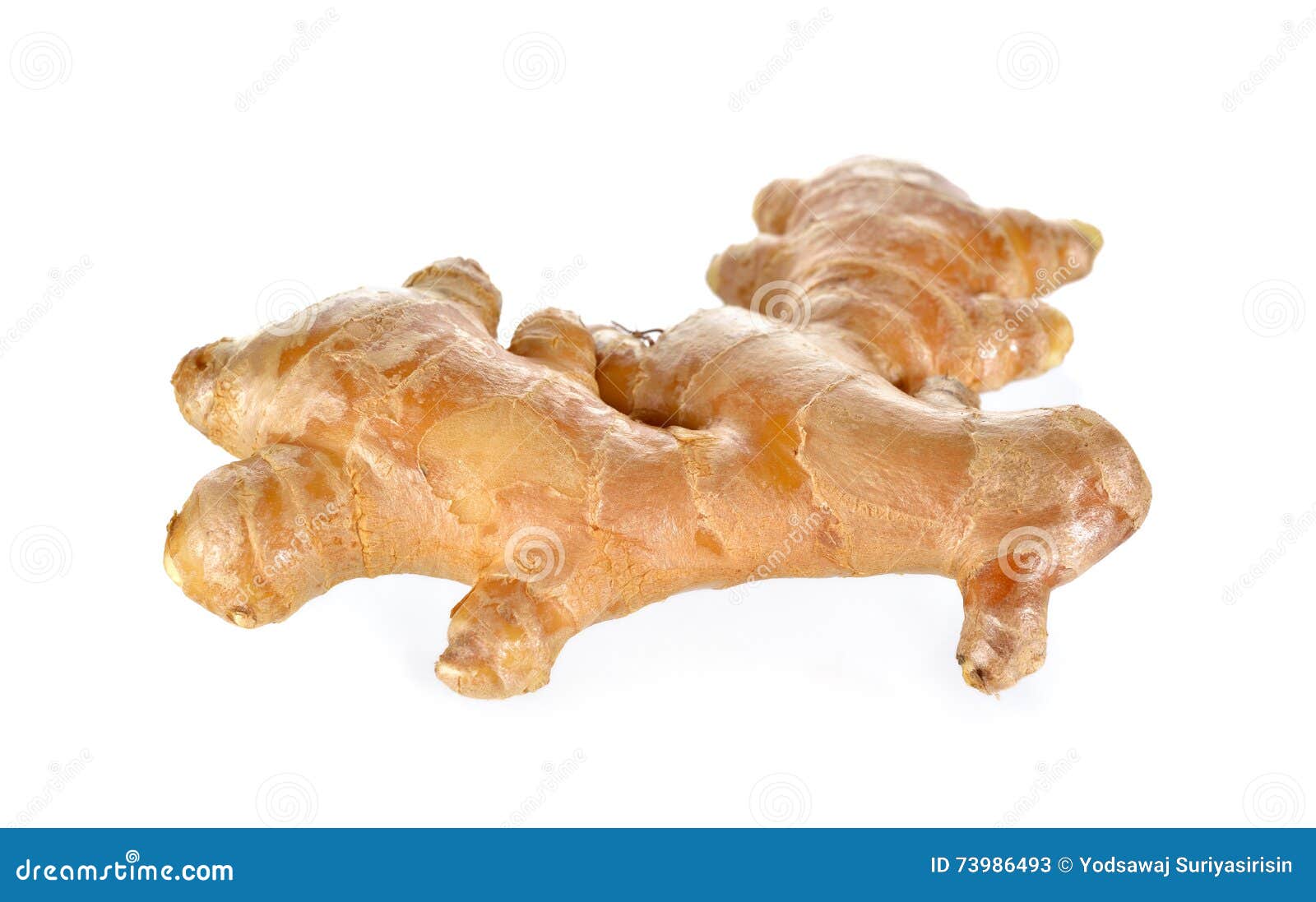 Unpeeled Fresh Ginger On White Background Stock Image Image of