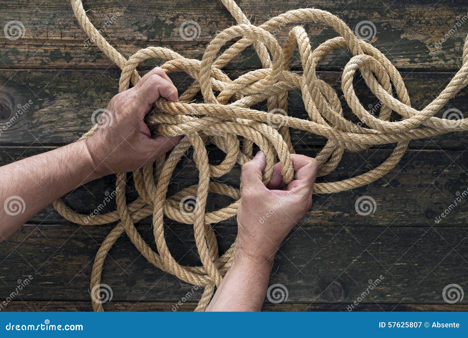 Unraveling. Dos manos que intentan desenredar una cuerda Fondo de madera