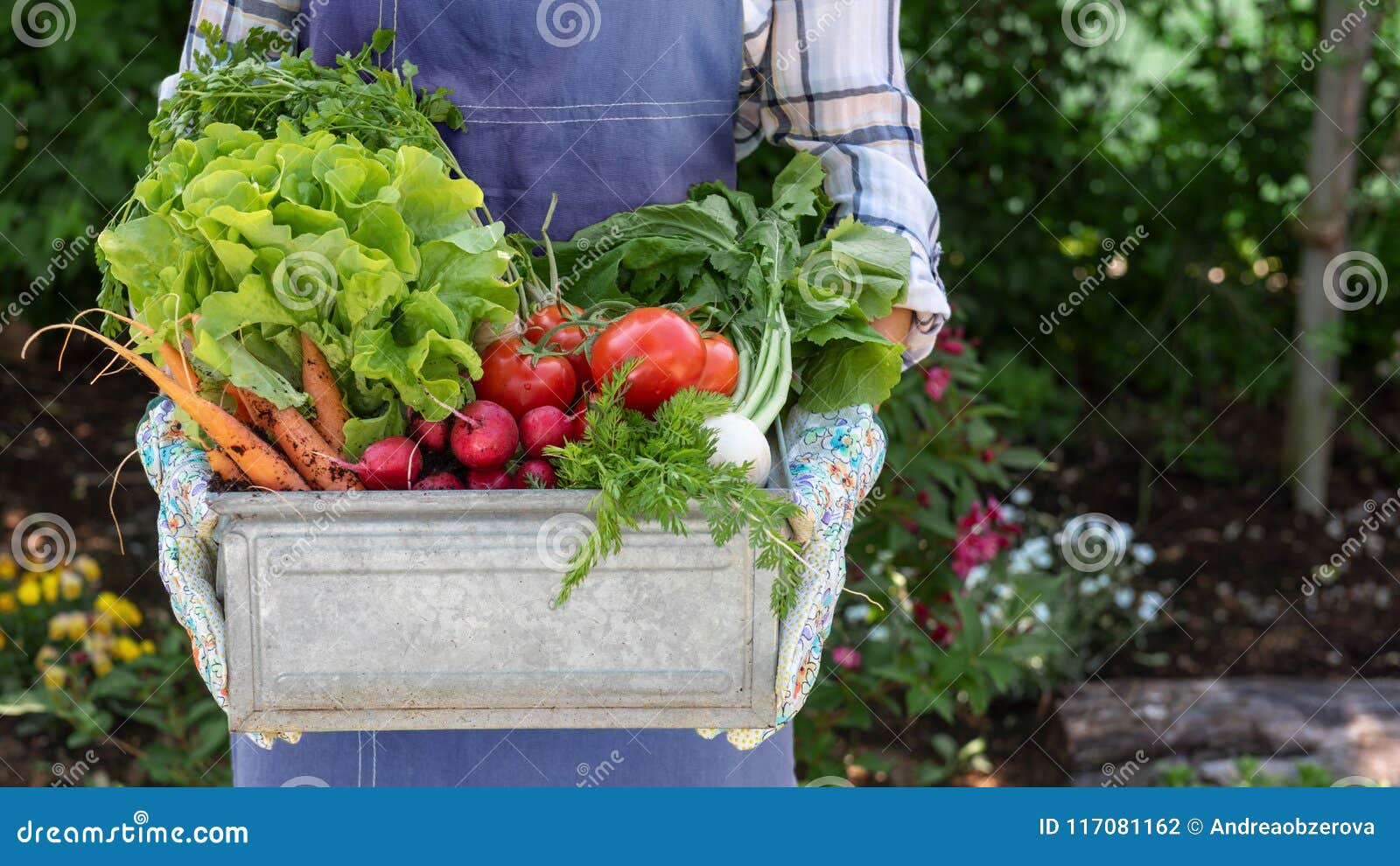 unrecognisable female farmer holding crate full of freshly harvested vegetables in her garden. homegrown bio produce concept.