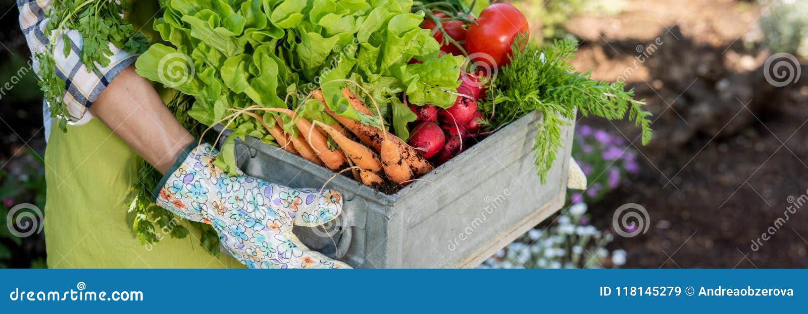 farmer holding crate full of freshly harvested vegetables in her garden. homegrown bio produce concept. sustainable living.