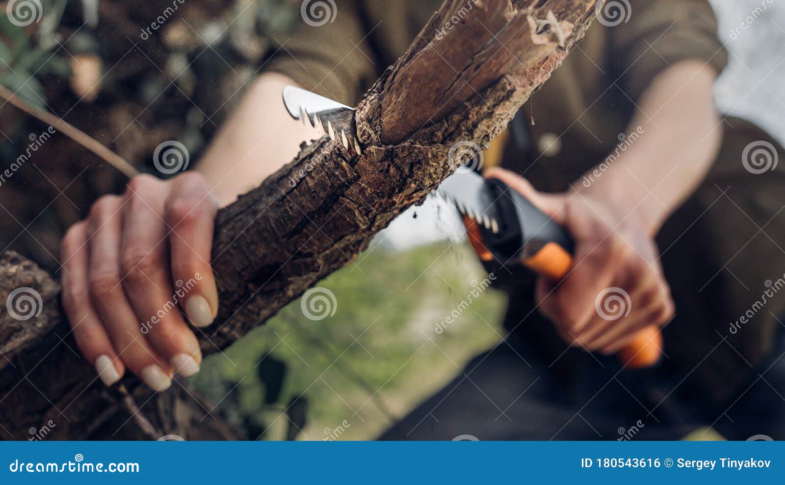 unrecognizable woman sawing wood hand saw. close-up. survival bushcraft concept