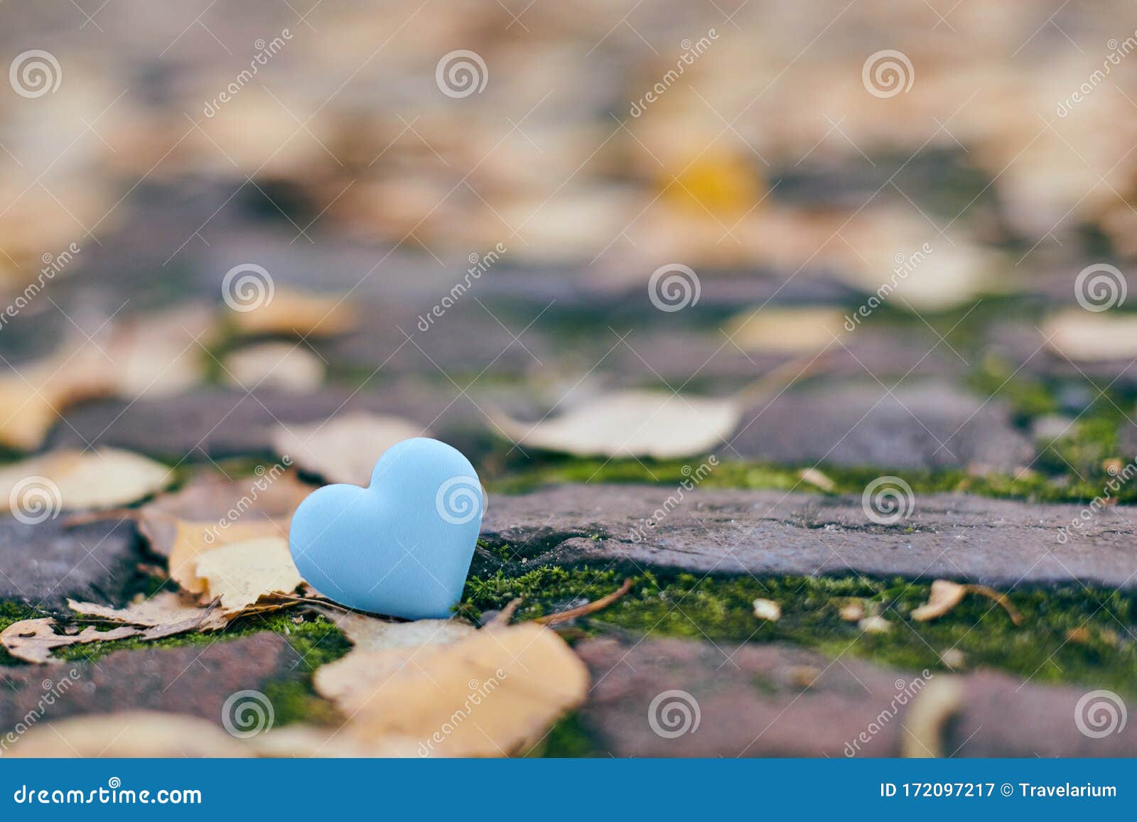 Unrequited One Sided Love Or Loneliness Lgbt Concept Stock Image Image Of Feast Affection Unrequited One Sided Love Or Loneliness Lgbt Concept Stock Image Image Of Feast Affection
