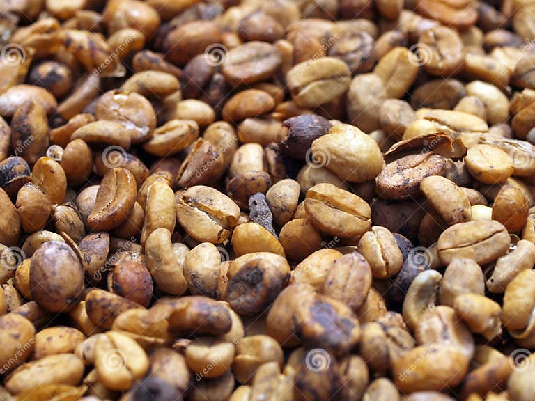 Unroasted coffee beans stock image. Image of drink, bean 13926299