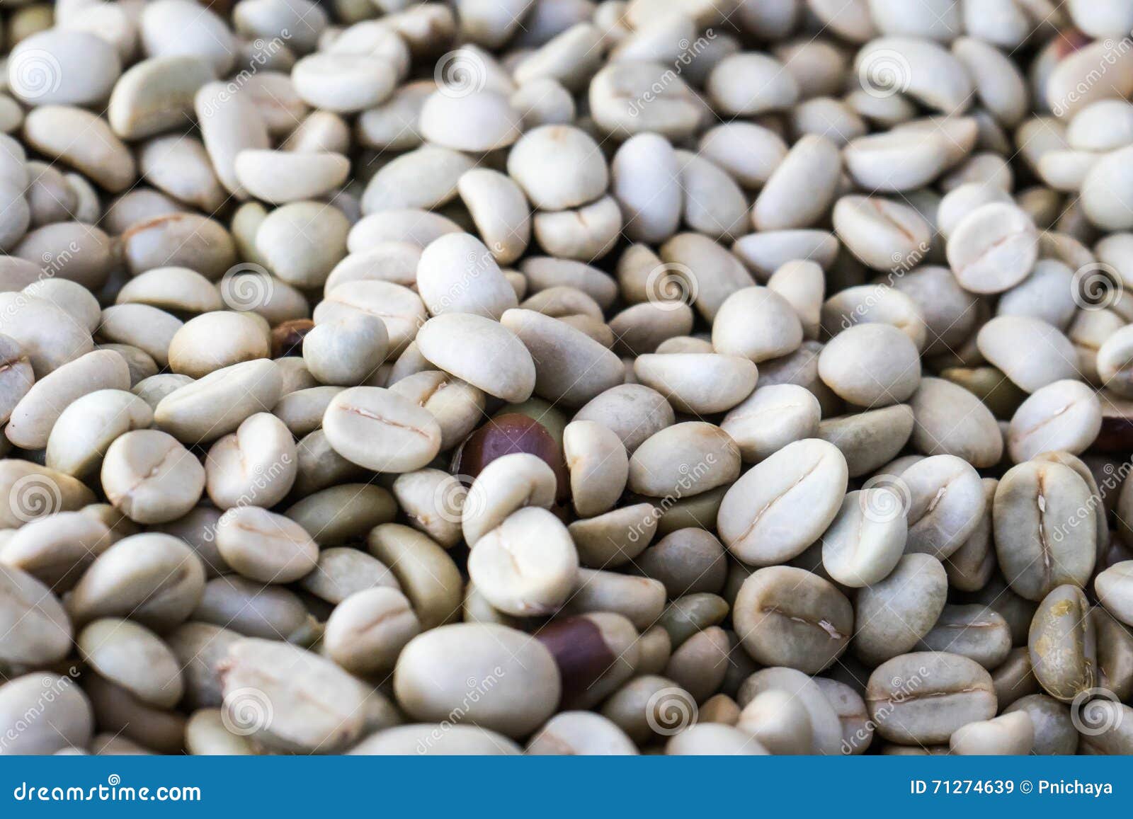 Unroasted coffee beans stock image. Image of brew, roast 71274639