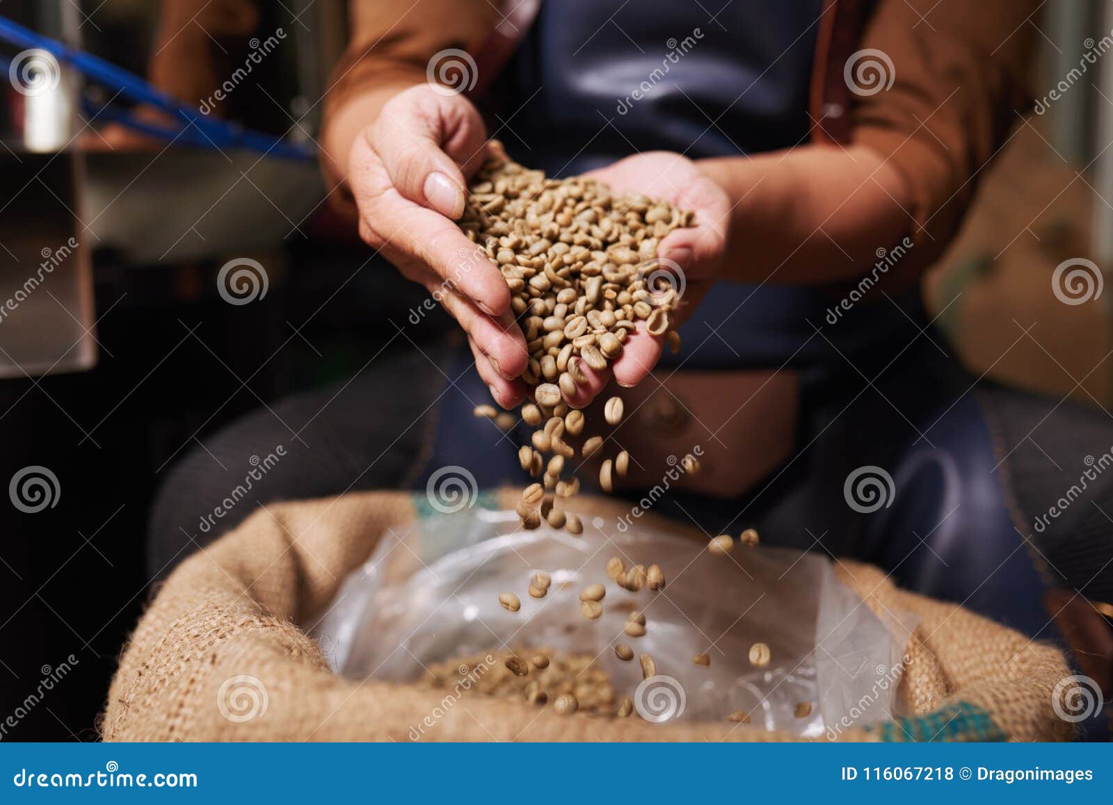 Unroasted coffee beans stock photo. Image of closeup 116067218