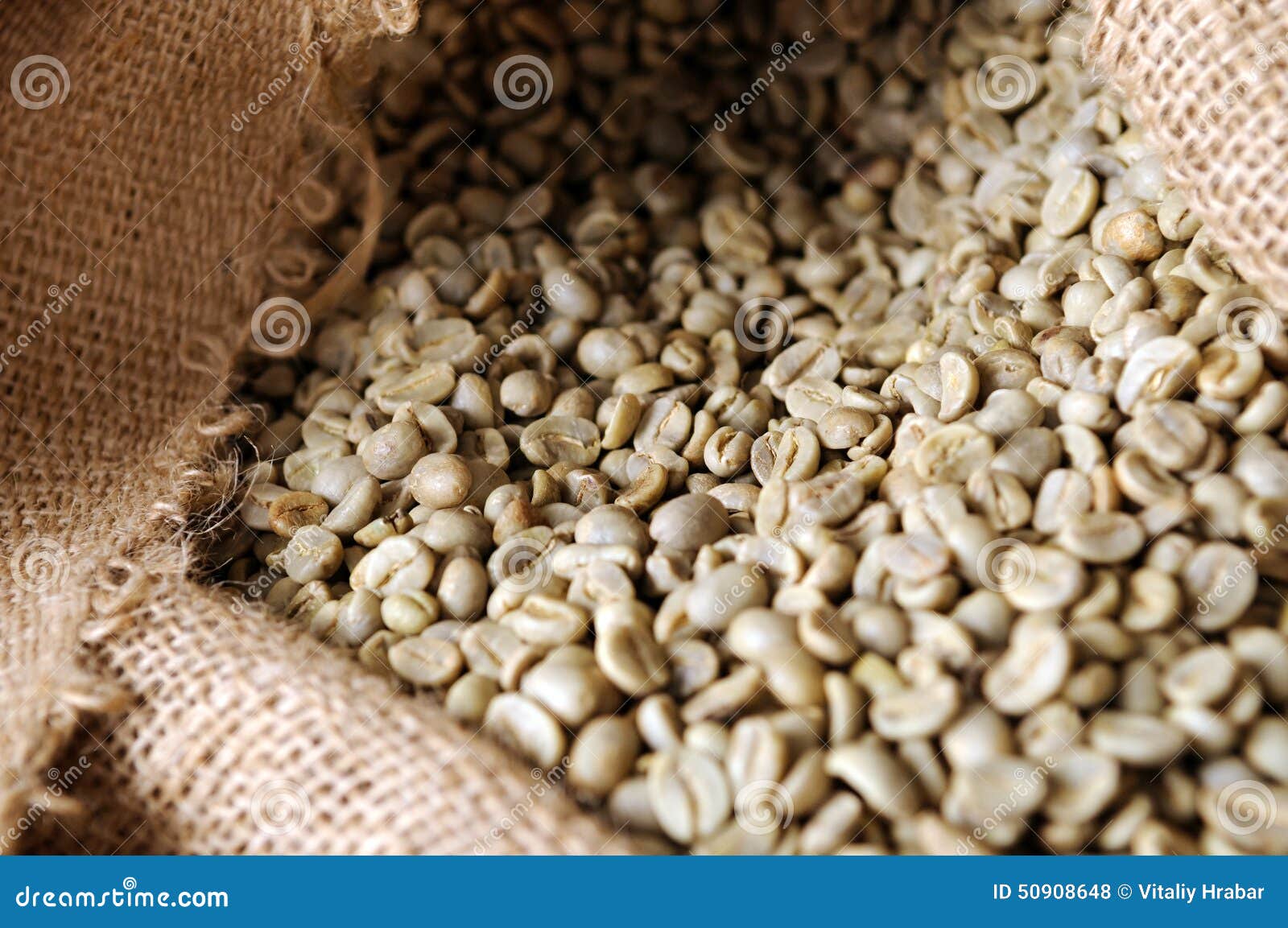 Unroasted coffee beans stock photo. Image of drink, braids 50908648